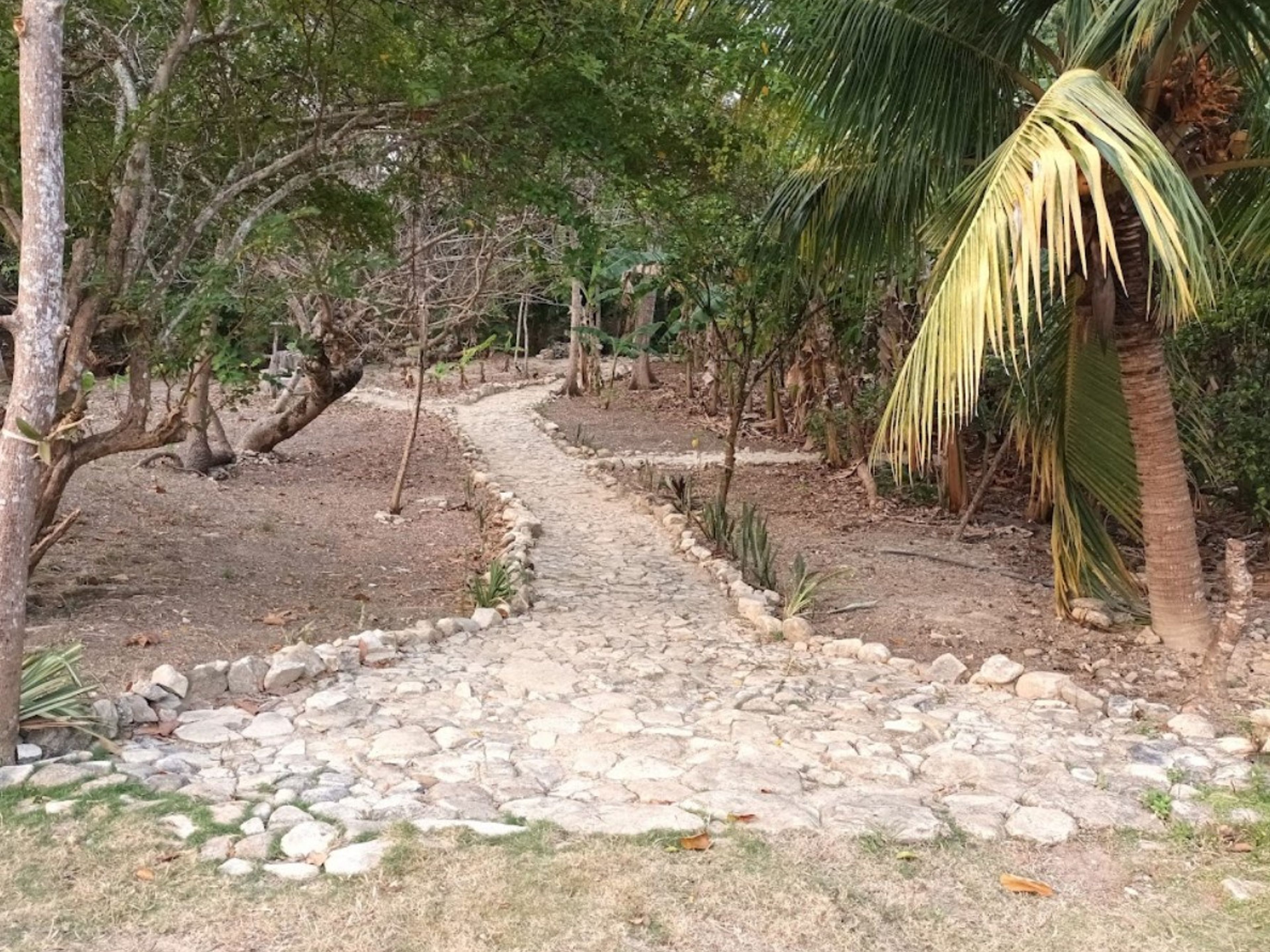 Excursión “CAMPIÑA TAINA”. Los Ricardos path, Retrete, Holguin