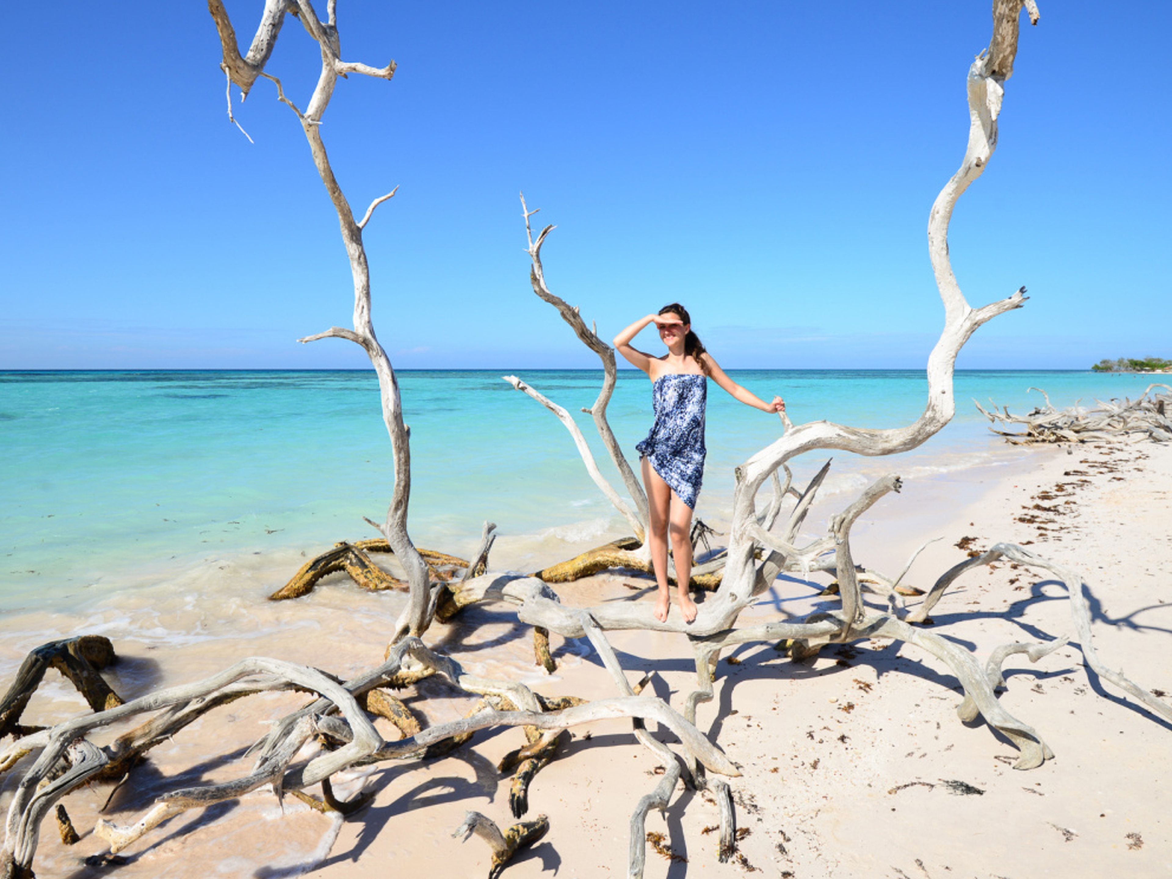 "Tour in bicicletta alla spiaggia di Cayo Jutias". Cayo Jutias beach panoramic view, Pinar del Río