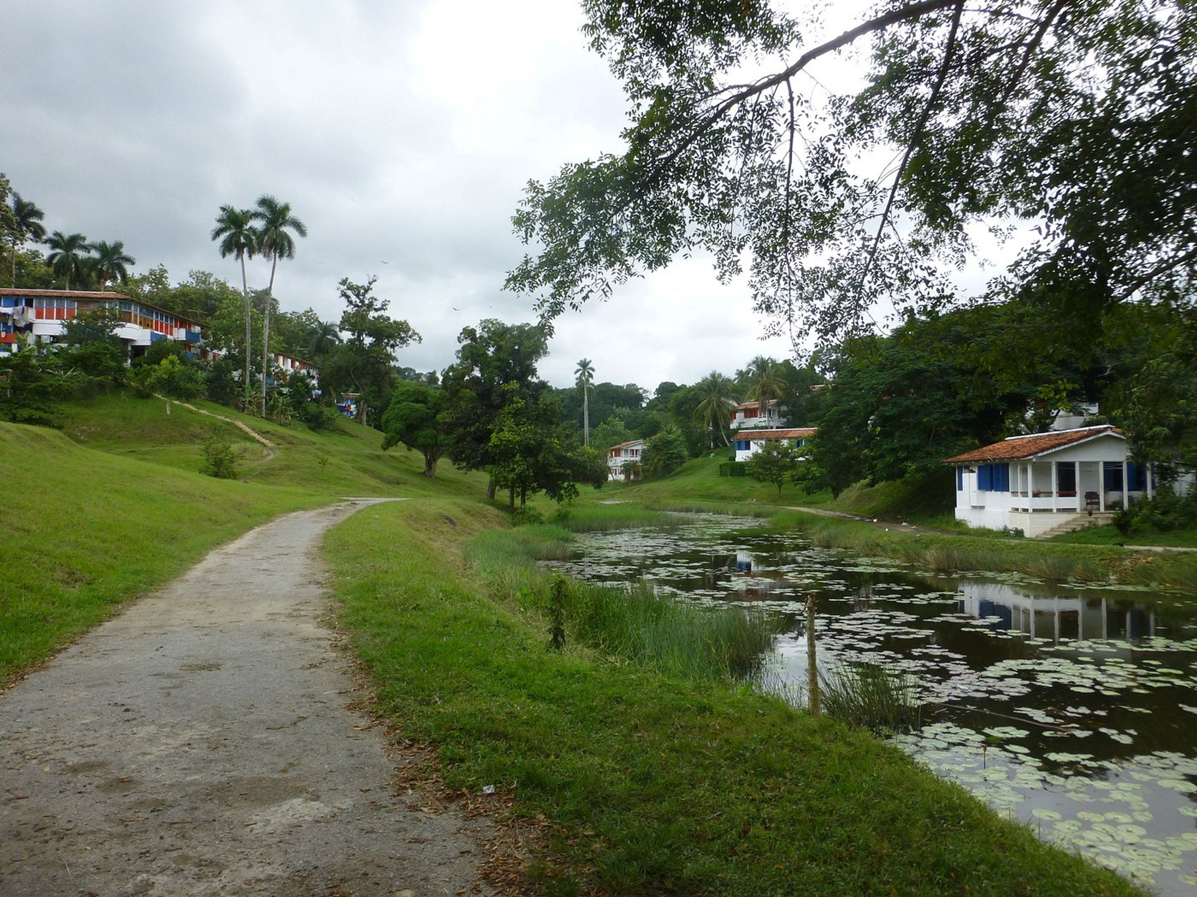 Tour "INTERAZIONE SOCIALE SU LAS TERRAZAS". "SOCIAL INTERACTION ON LAS TERRAZAS" Tour, Las Terrazas comunity, Artemisa, Cuba.