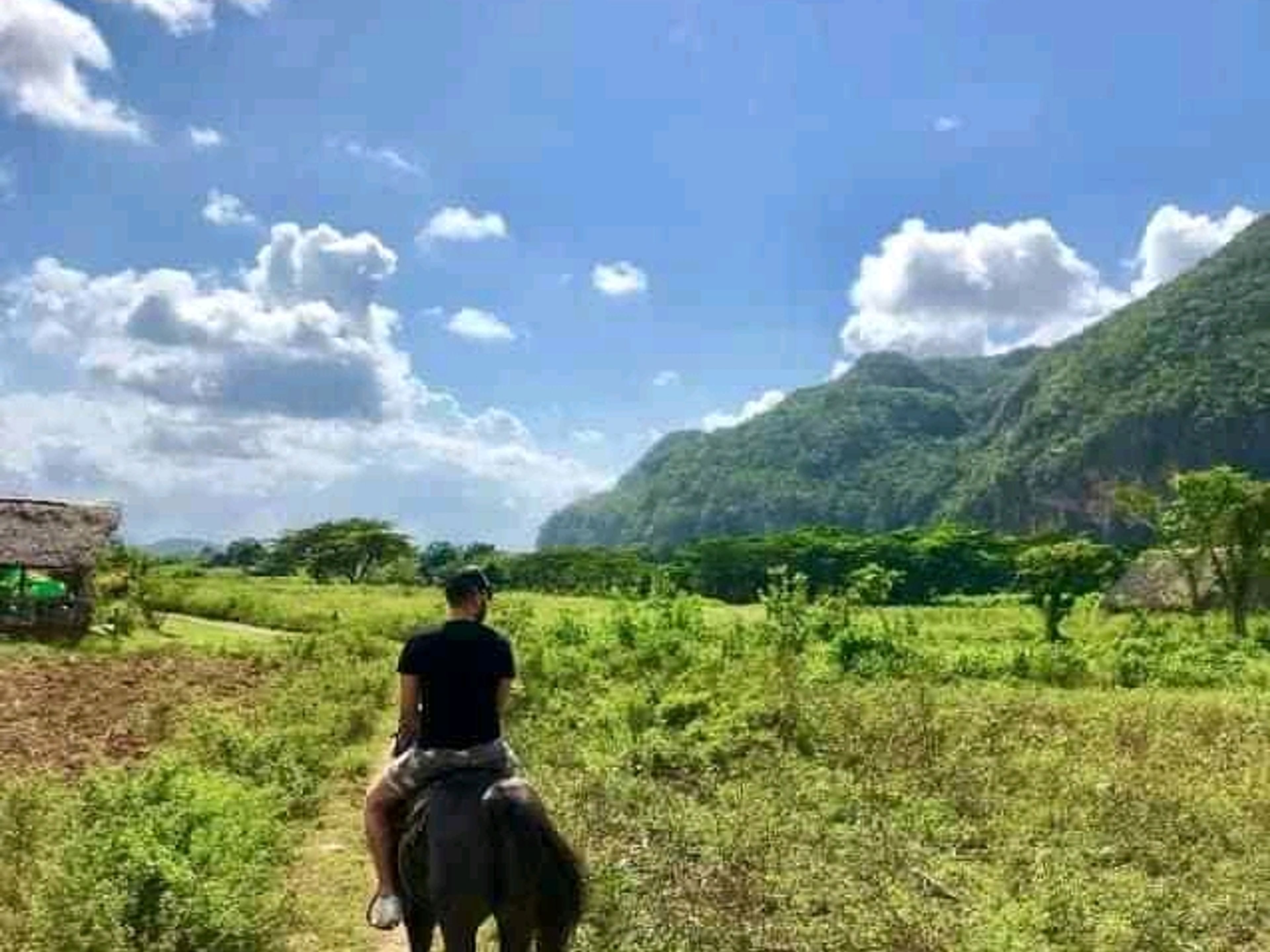 Excursion privée à "Las Terrazas-Soroa-Viñales Valley et la ville de Pinar del Rio" en voitures anciennes américaines. Private-tour-to-las-terrazas-soroa-vinales-valley-and-city-of-pinar-del-rio-in-american-classic-cars