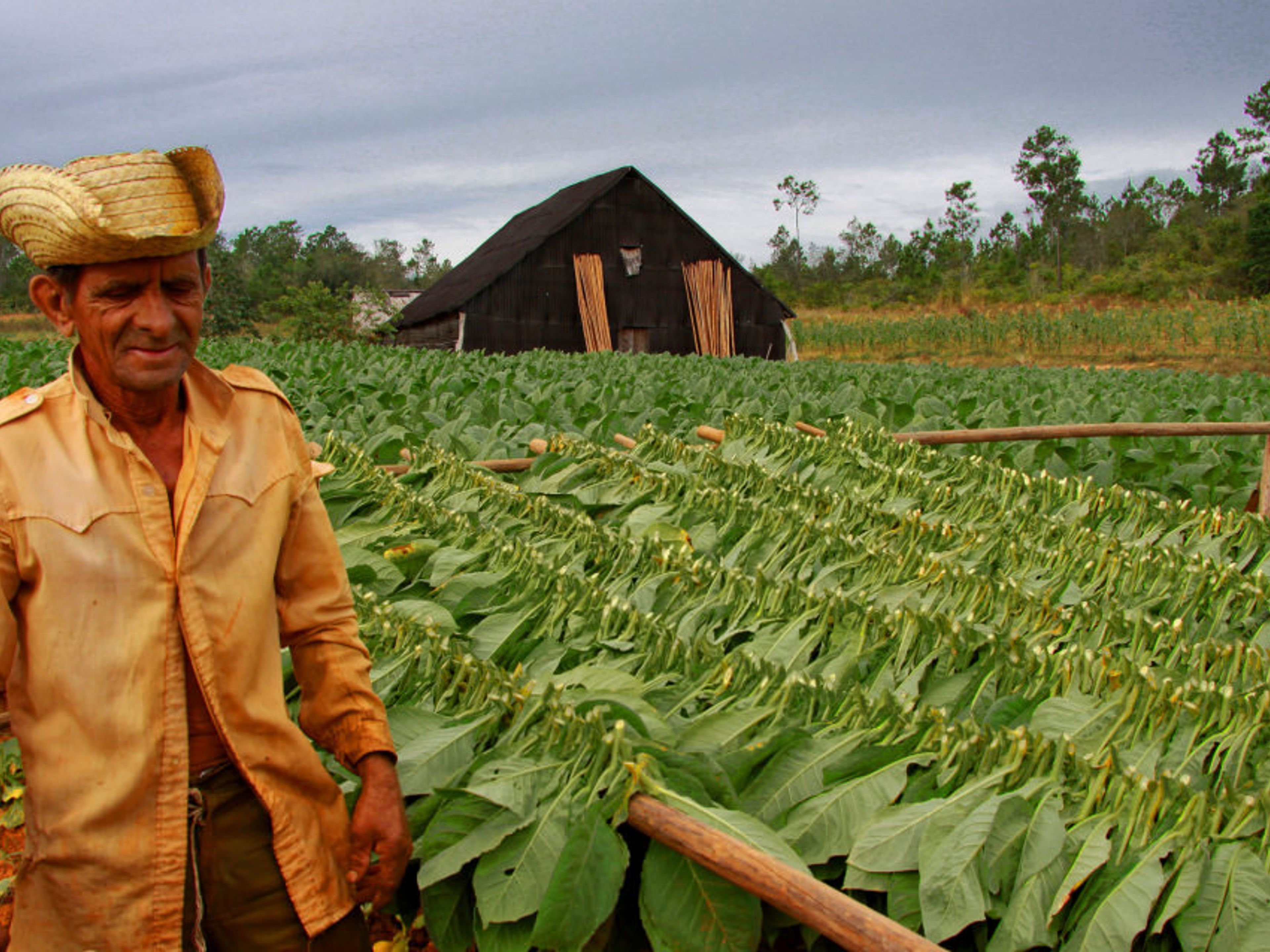 "Découverte Viñales Tour