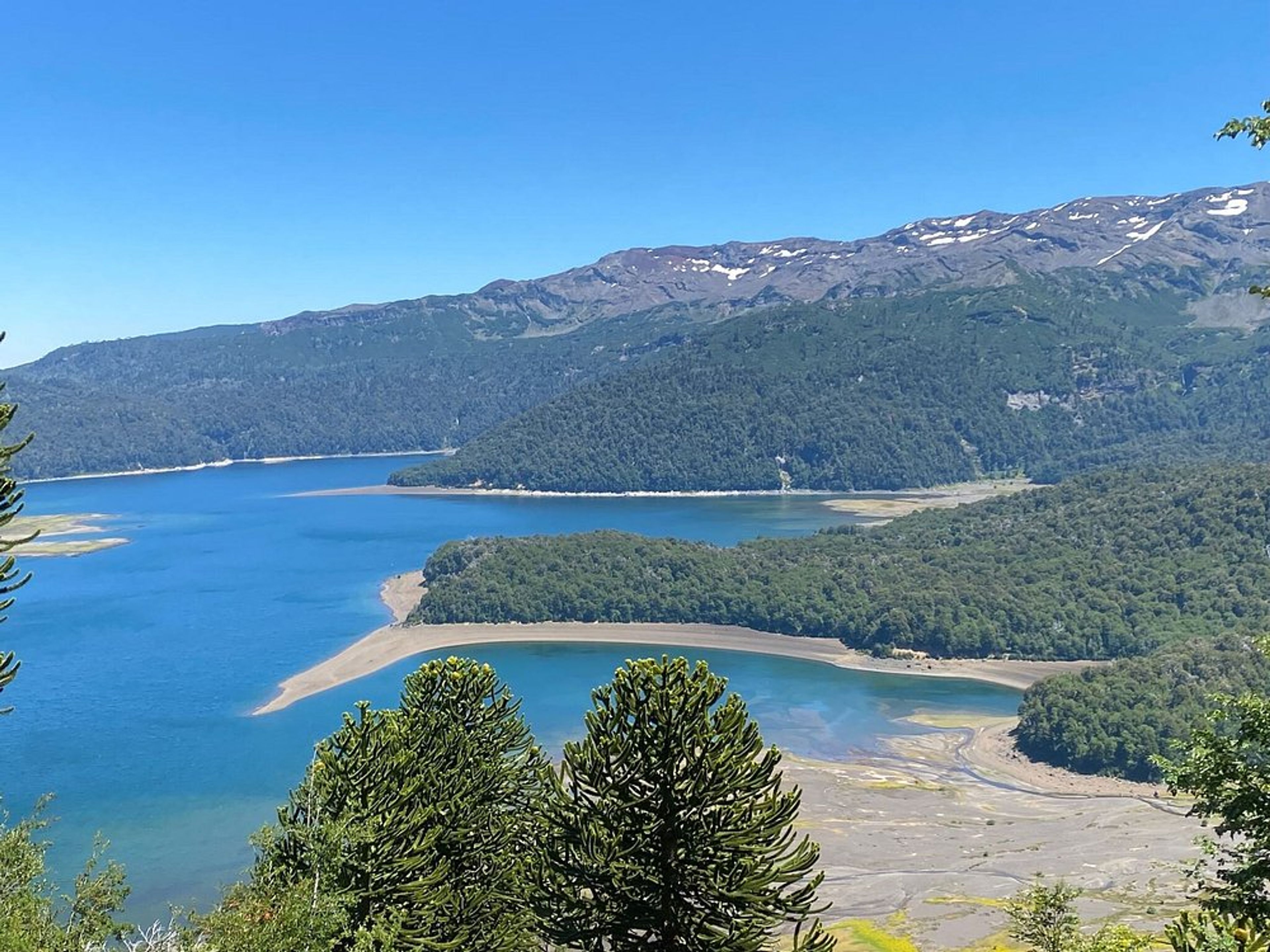 Tour ”RANDONNÉE AU PARC NATIONAL DE HUERQUEHUE”. null