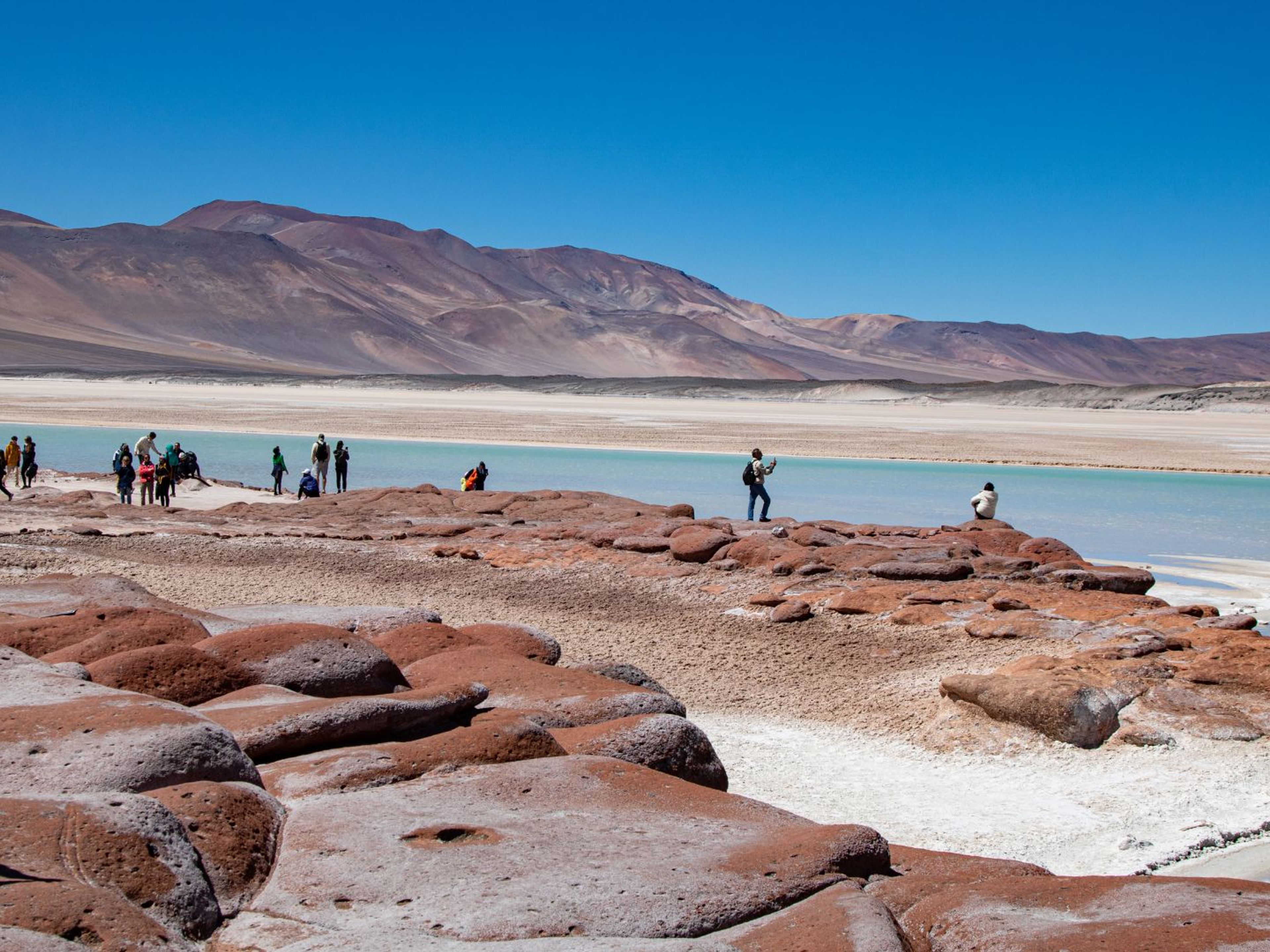 “PIEDRAS ROJAS & ALTIPLANIC LAGOONS" Tour