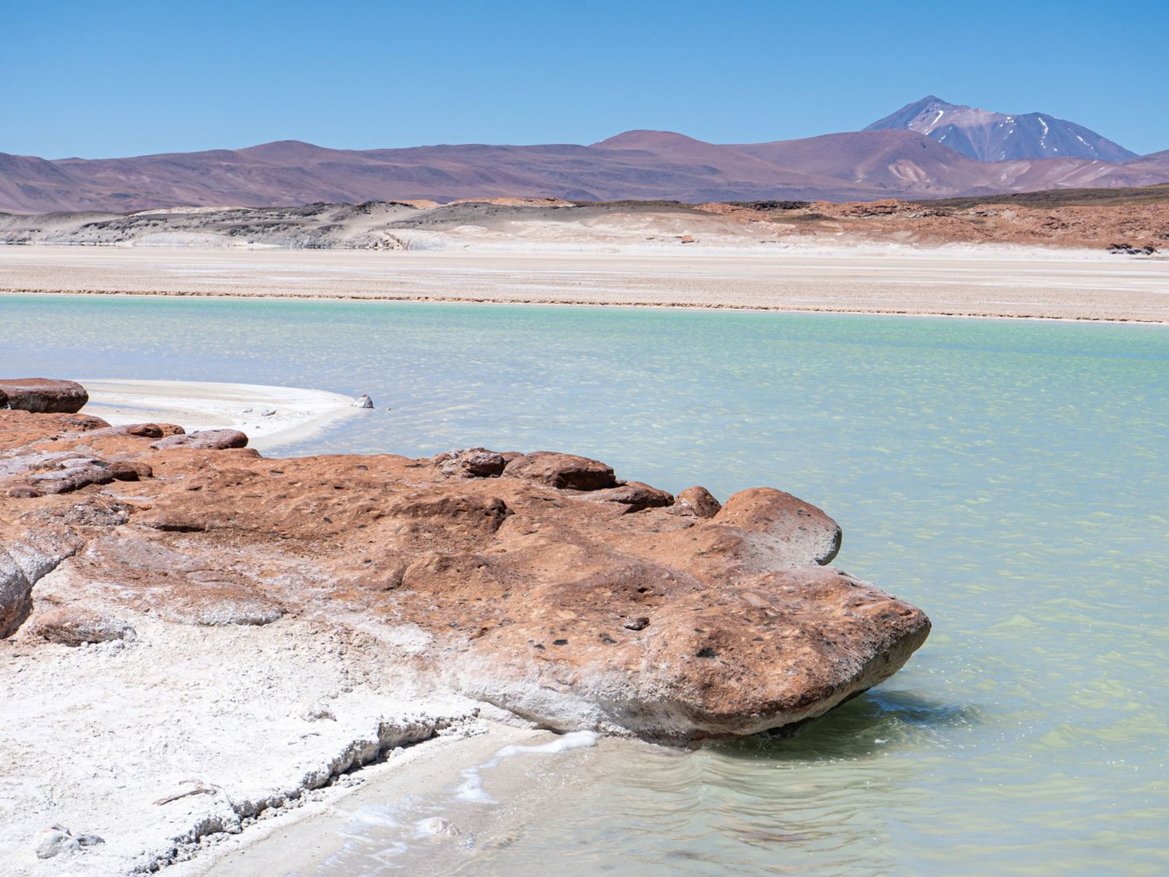 “PIEDRAS ROJAS & ALTIPLANIC LAGOONS" Tour. null