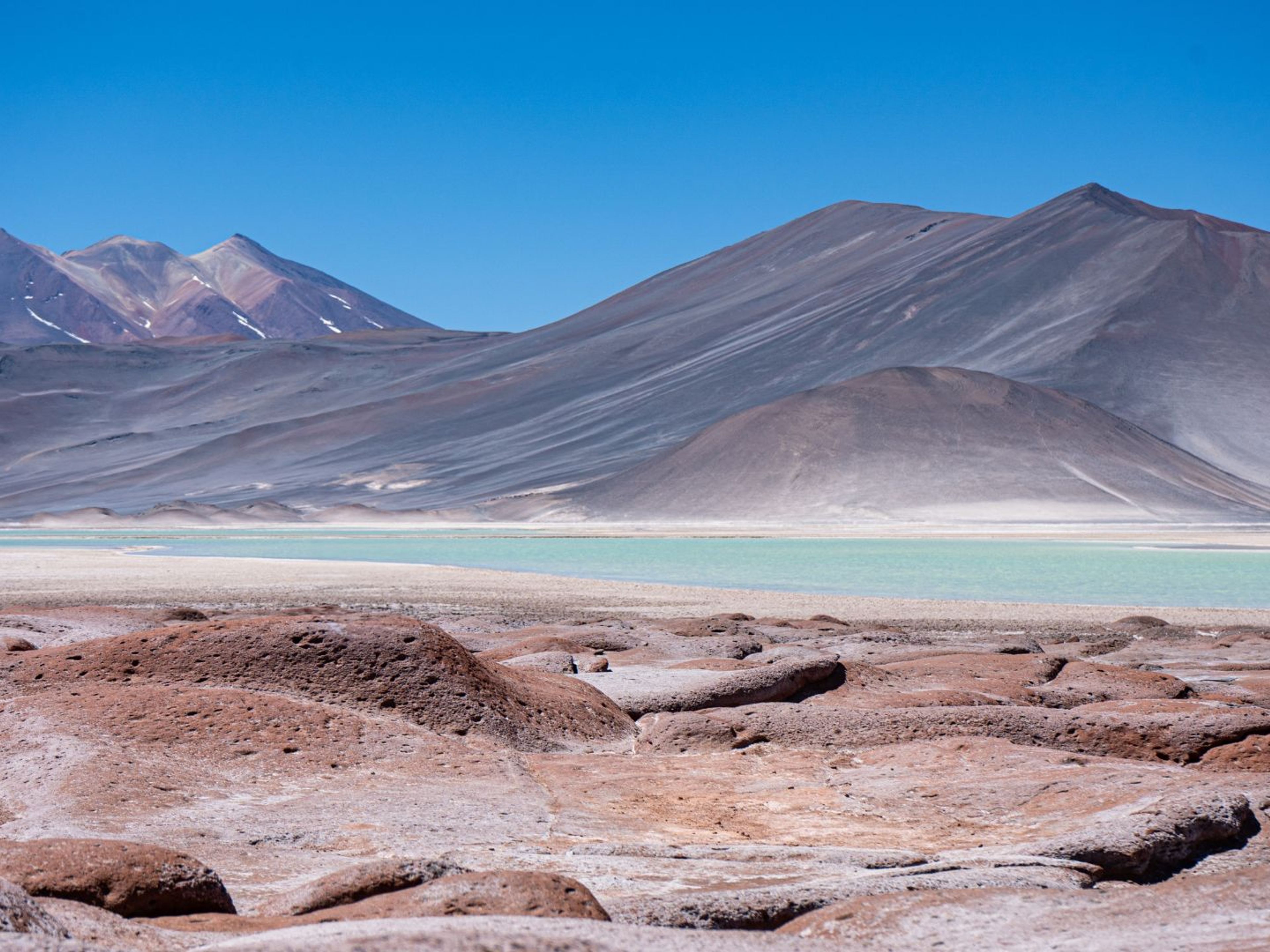 “PIEDRAS ROJAS & ALTIPLANIC LAGOONS" Tour. null