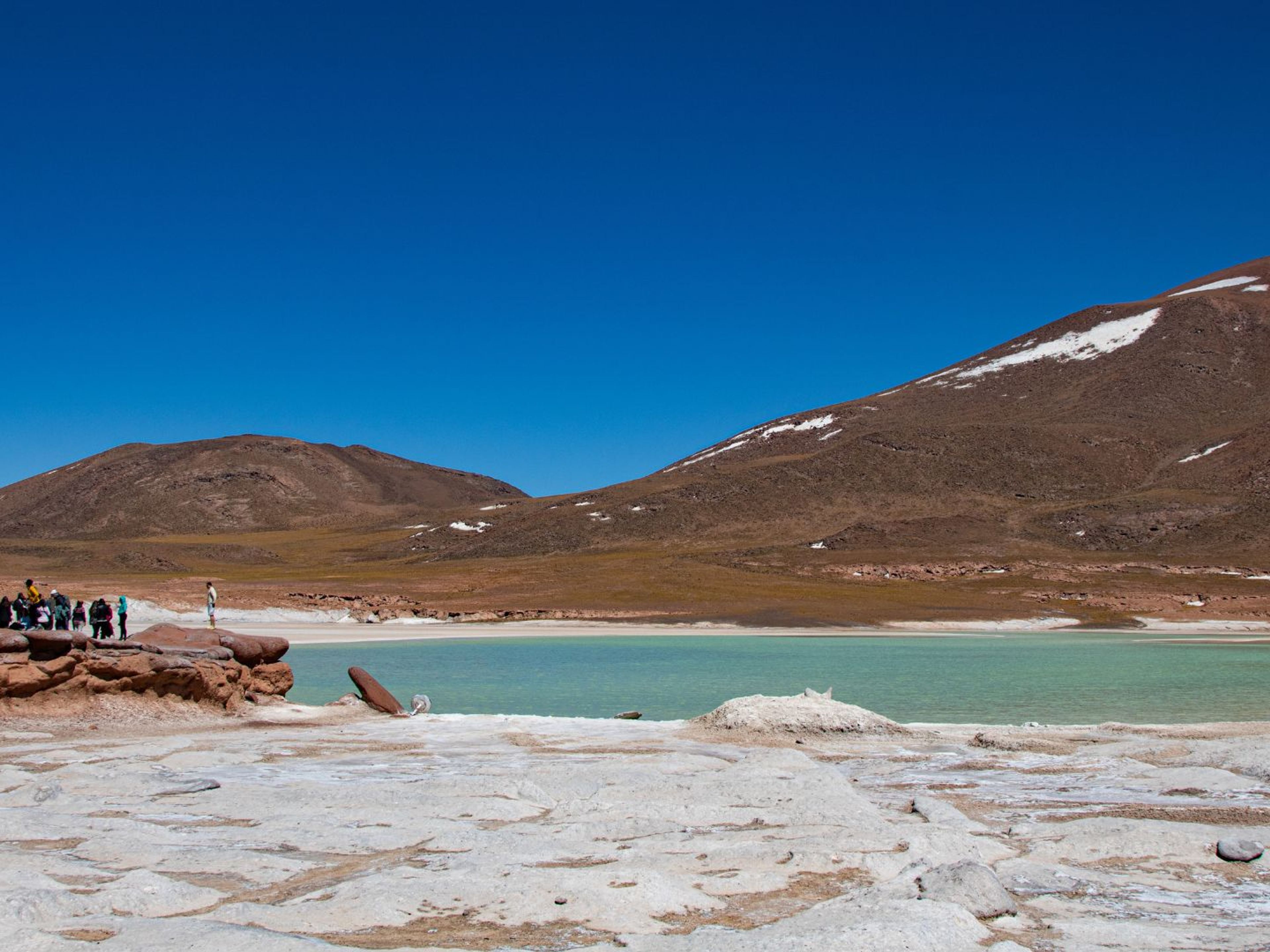 “PIEDRAS ROJAS & ALTIPLANIC LAGOONS" Tour. null