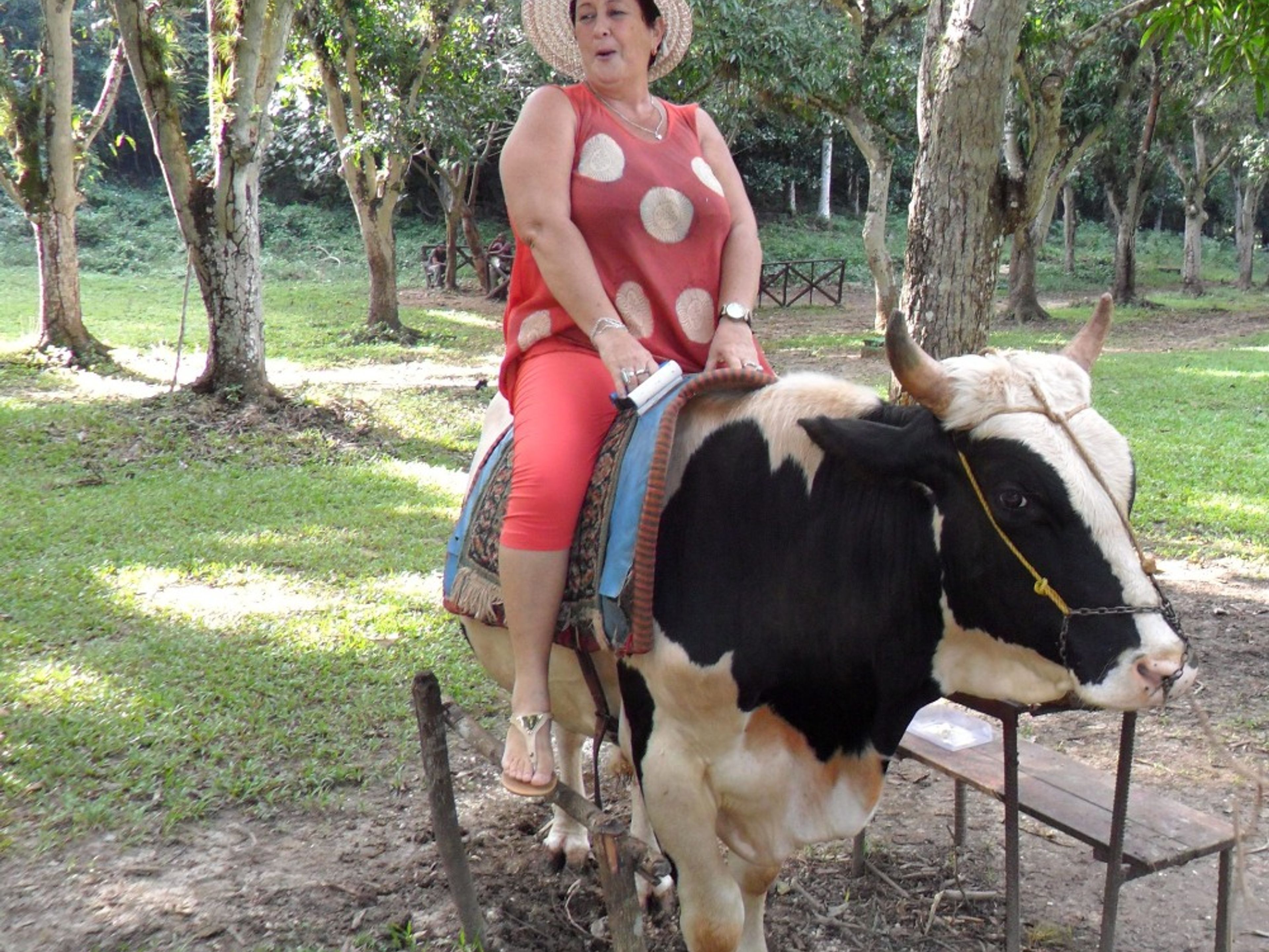 Jeep Safari "NATURE TOUR 4X4 JIBACOA PLUS". La Arboleda Farm, Río Canimar, Matanzas, Cuba.