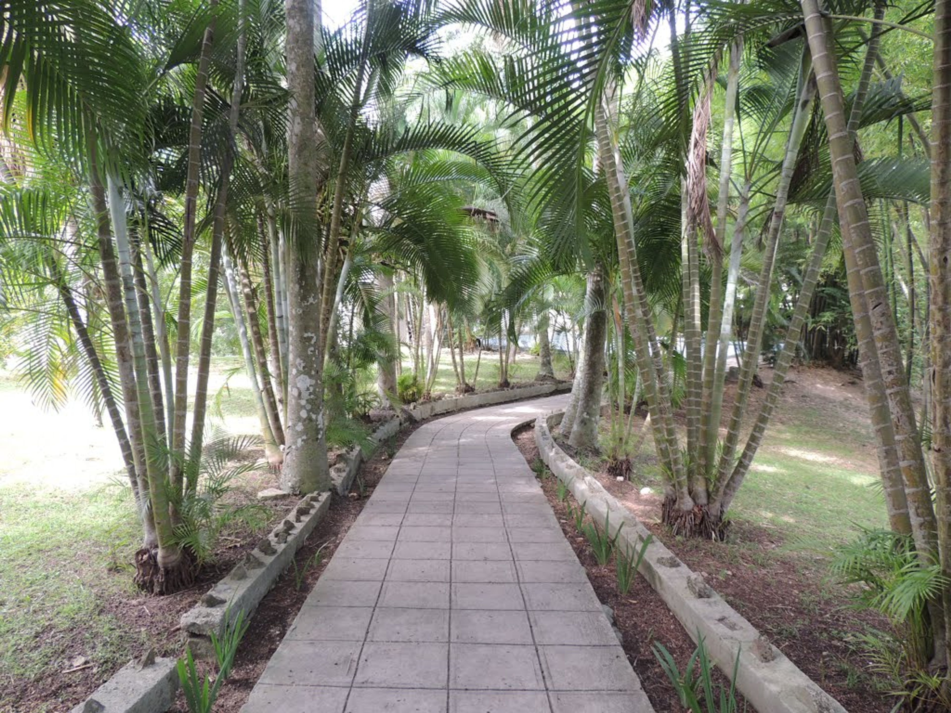 "HAVANE PREMIUM" Tour. Hemingway Museum at Finca Vigía, "Havana Premium" Tour