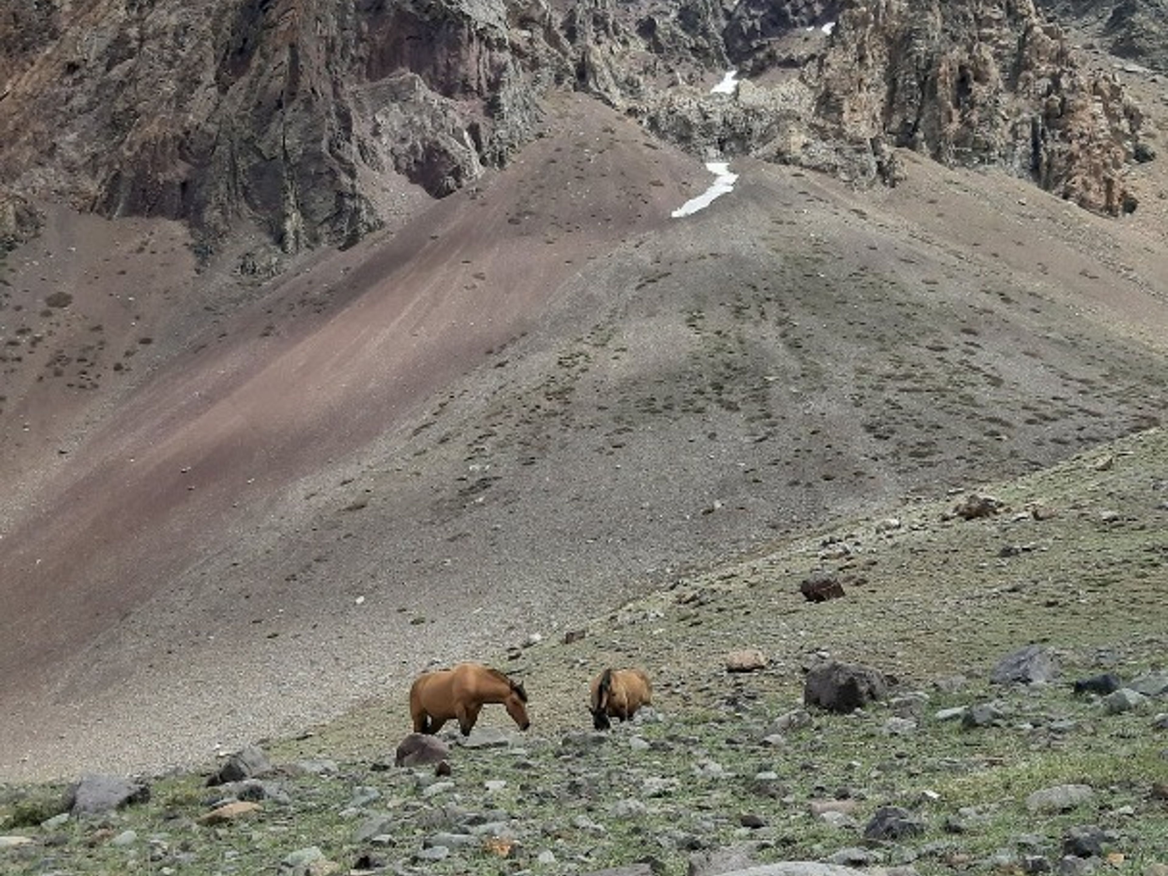 Excursão “VISITA AO PARQUE NACIONAL EL MORADO + TERMAS DE COLINA”. “VISIT TO EL MORADO NATIONAL PARK + COLINA HOT SPRINGS” Tour, Chile.