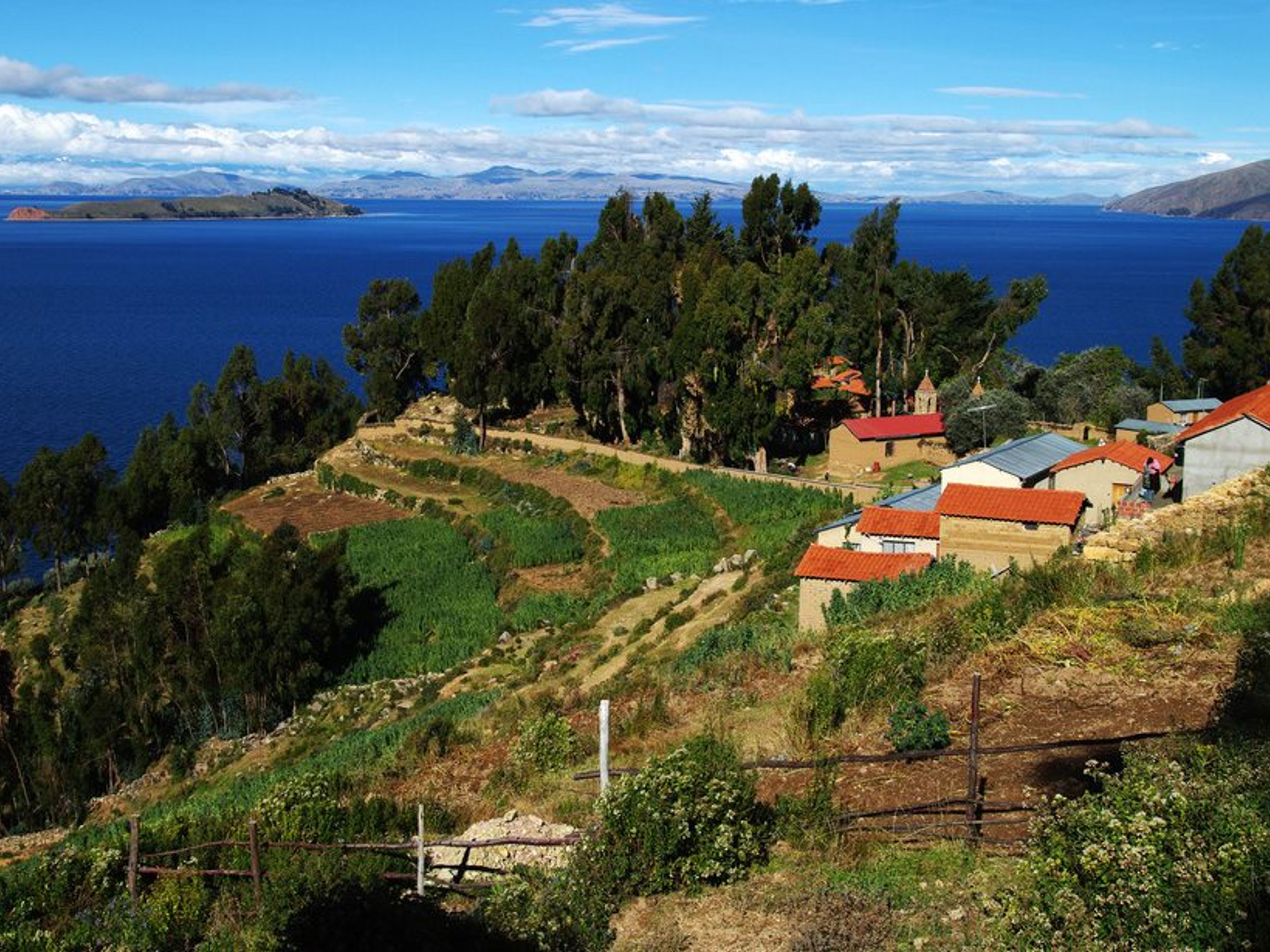 TOUR A "COPACABANA". Island of the Sun. Titicaca lake