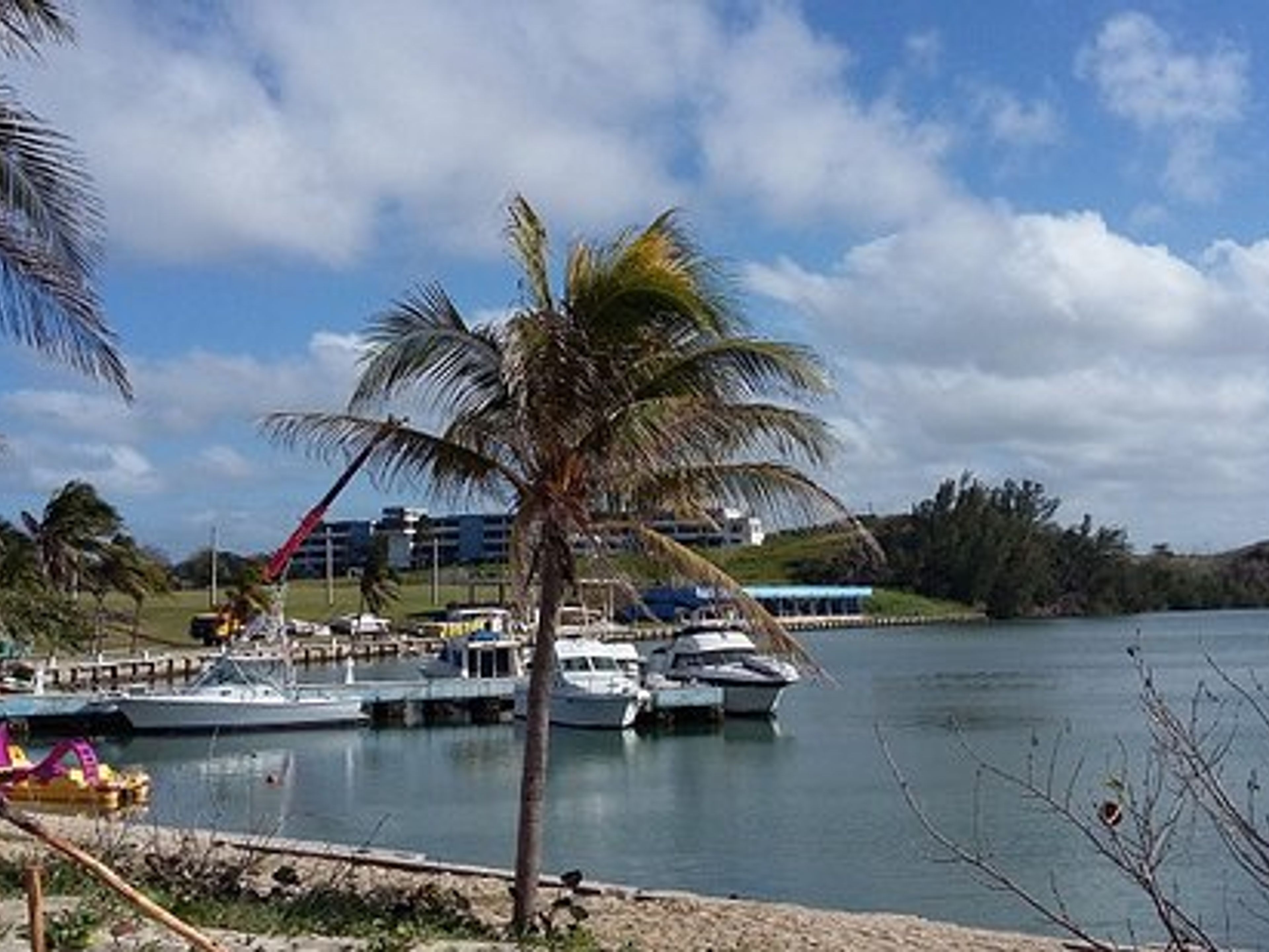 Excursión “PESCA PESCA DE FONDO EN TARARÁ“. Marina Marlin Tarará, Residencial Tarará, Playas del Este, La Habana, Cuba.