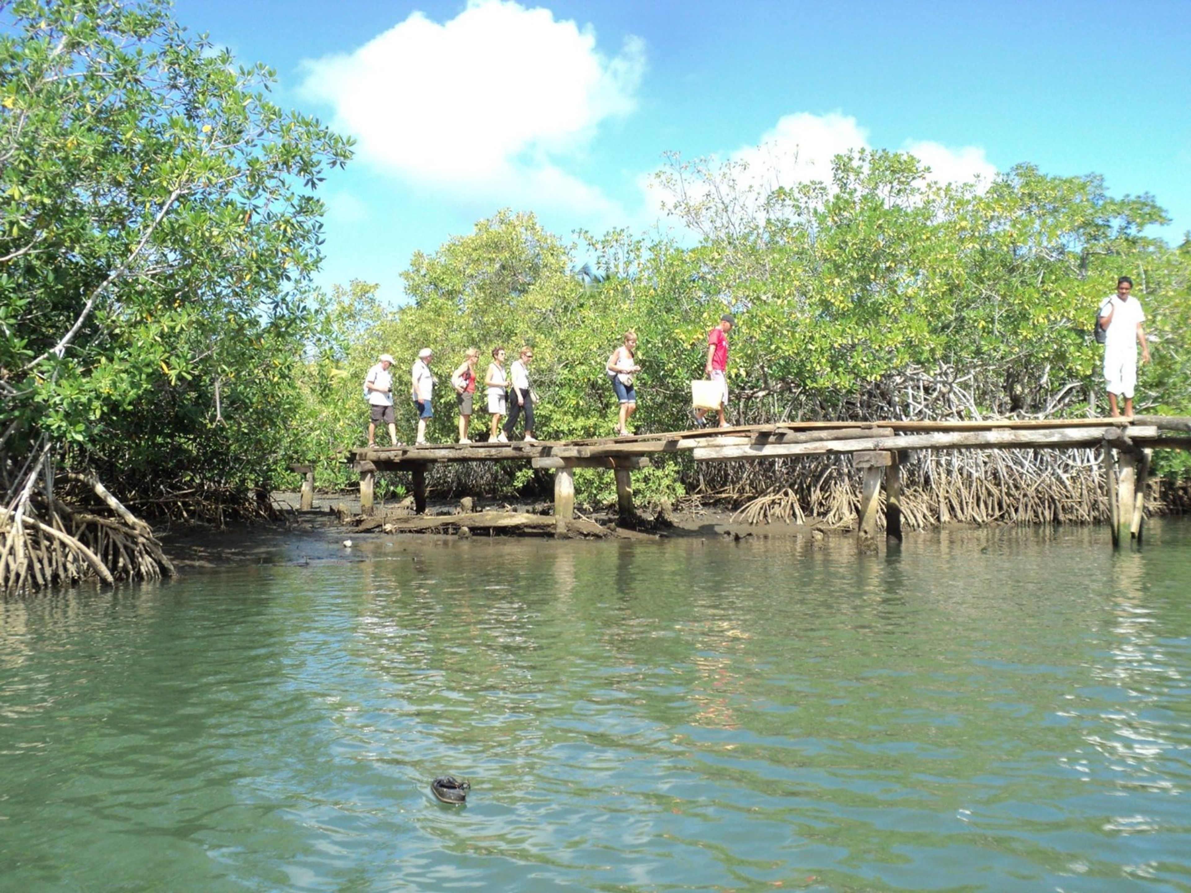 Jeep Safari "PARCO NATURALE DI MAYAJARA". visit majayara baracoa