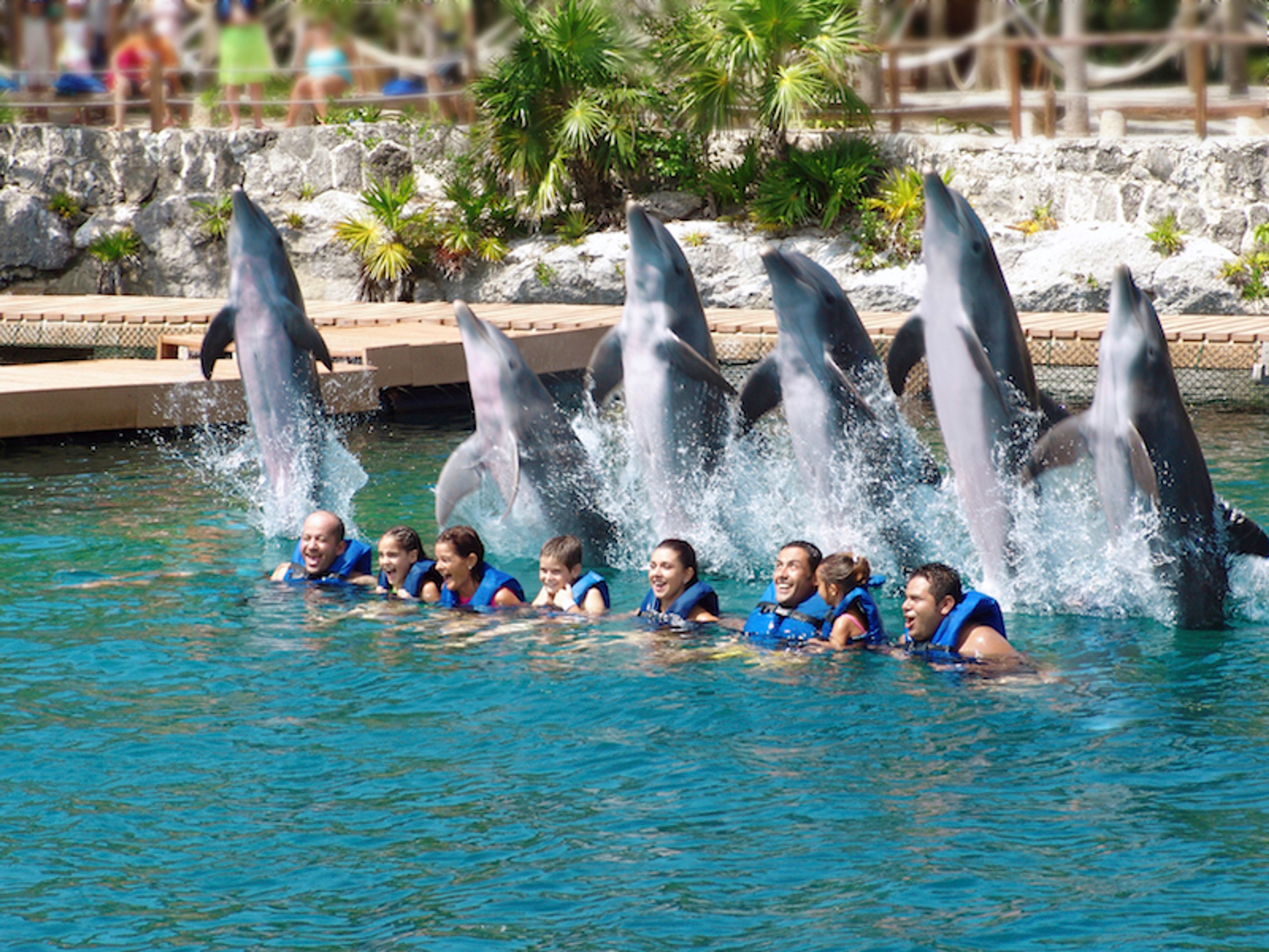 Excursão "Dolphinclusive Primax + Xel Ha"