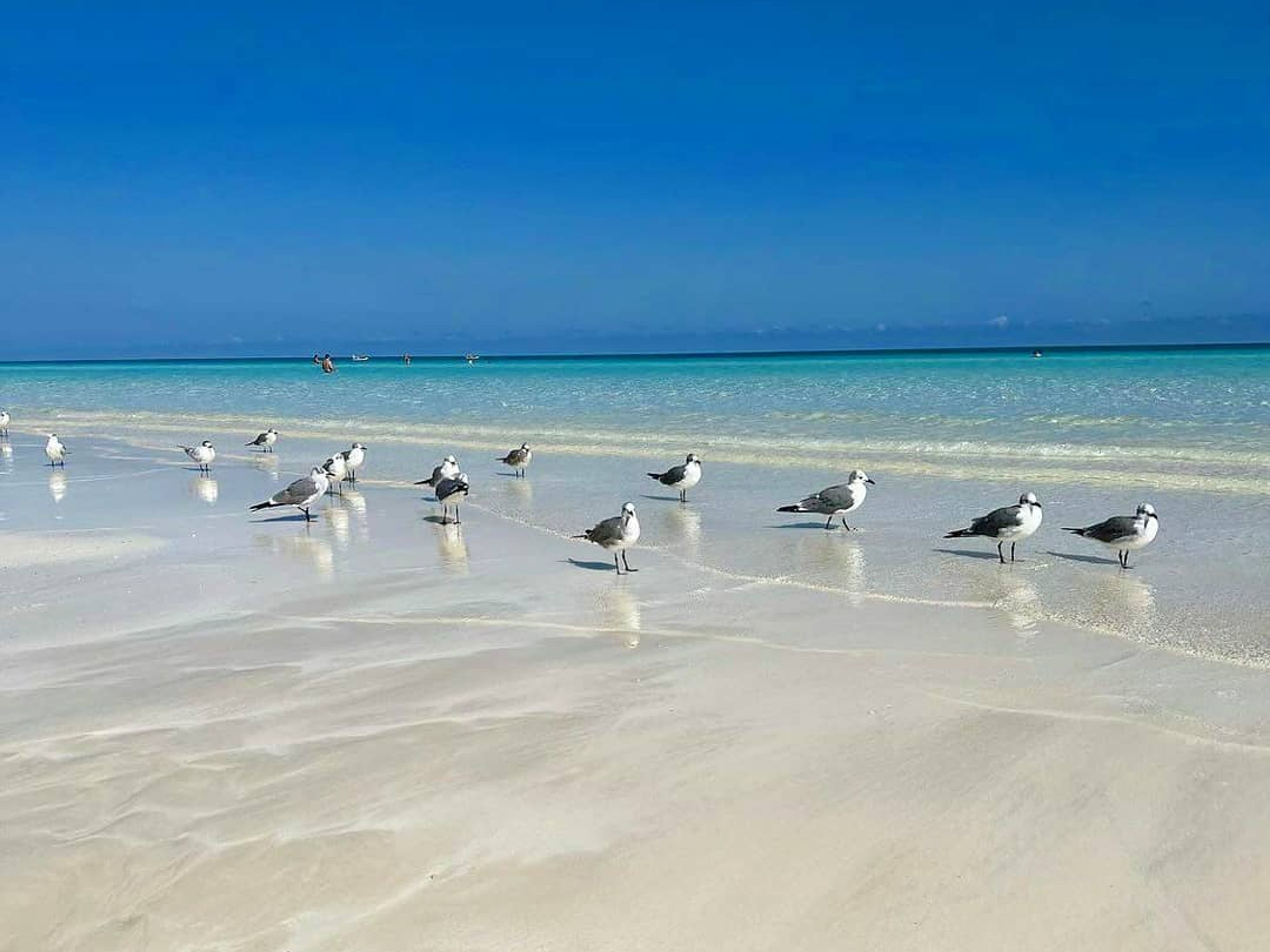 “SEATOUR“ Tour. “SEA TOUR“ Tour, Cayo Cruz, Jardines de Rey, Cuba.
