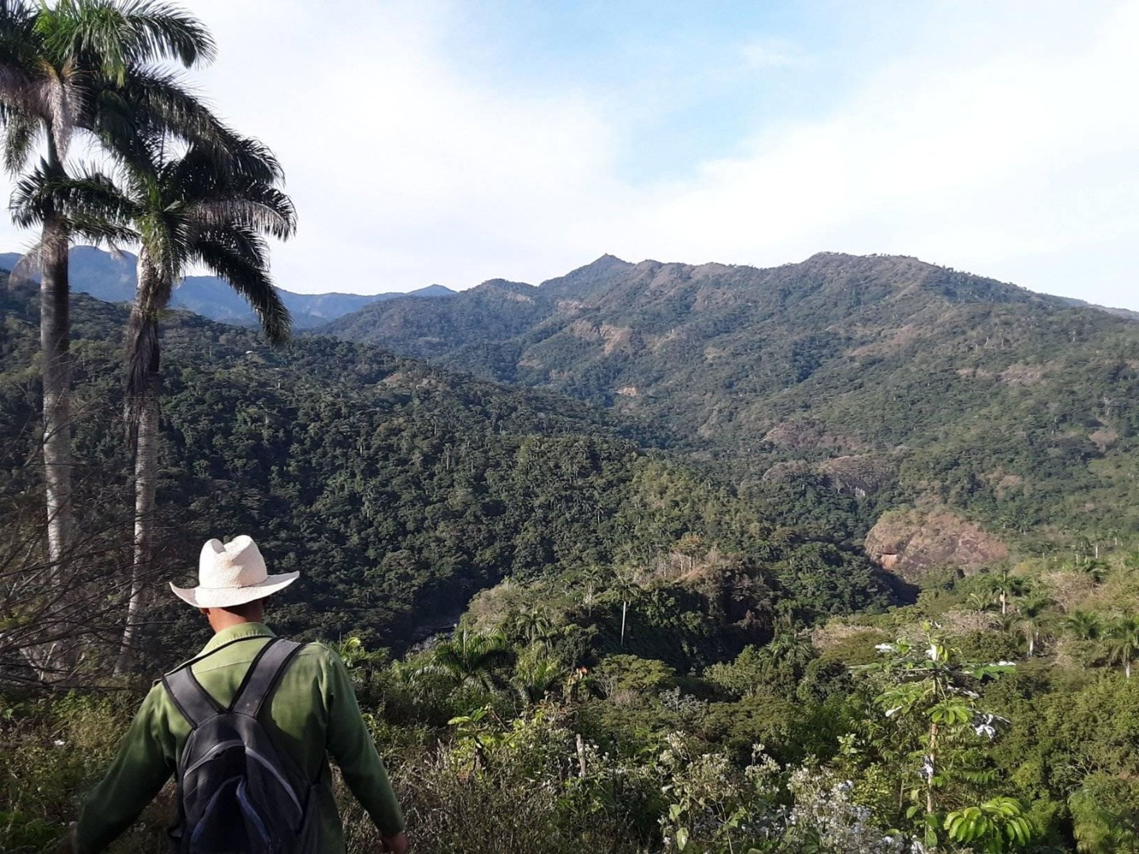 “UNVERGESSLICHES ABENTEUER, PICO REAL DEL TURQUINO“ Trekking Tour (1 Tage). Trekking tour in the Turquino National Park, Granma, Cuba.