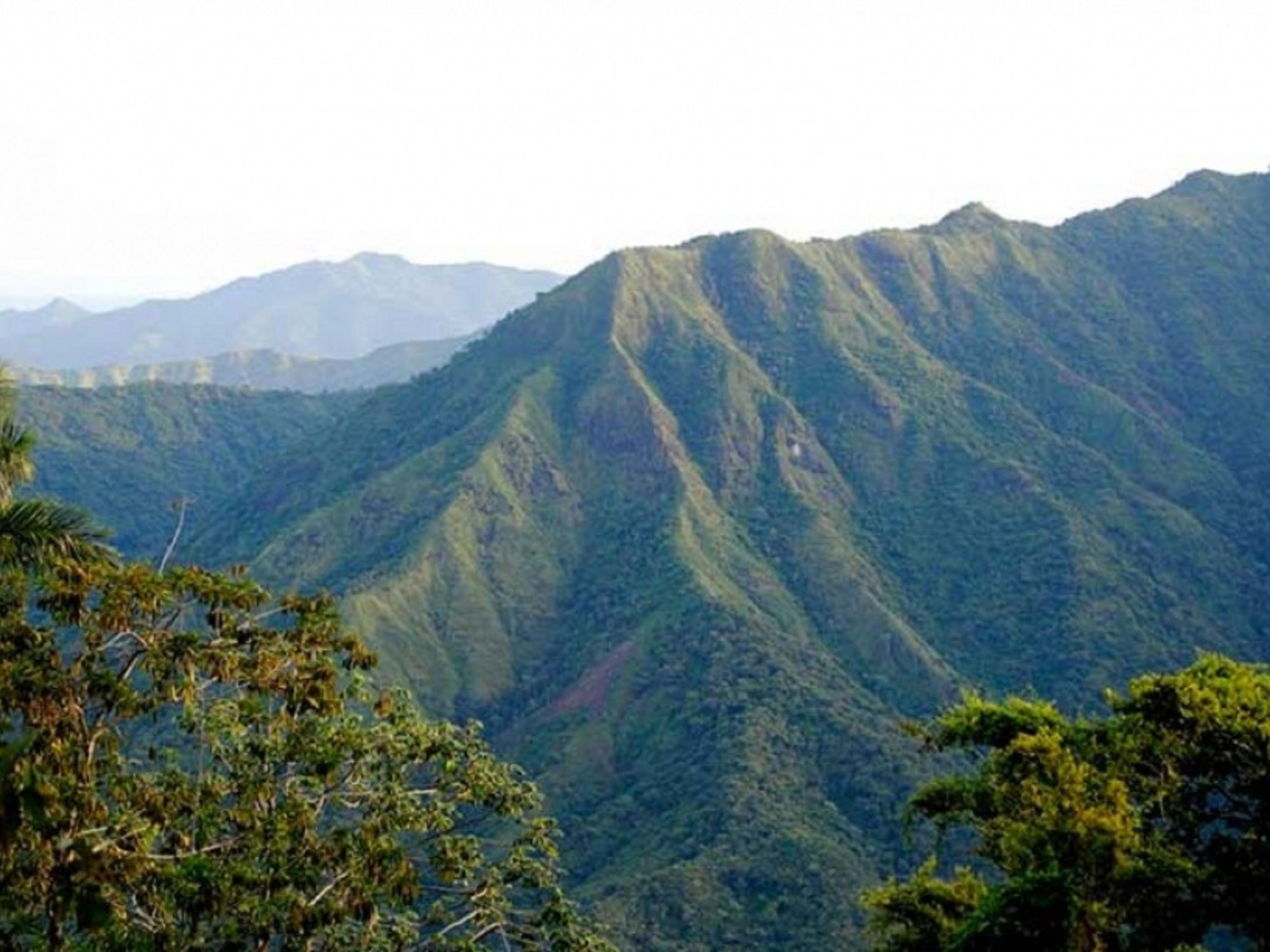 “UNVERGESSLICHES ABENTEUER, PICO REAL DEL TURQUINO“ Trekking Tour (1 Tage). Turquino National Park panoramic view, Granma, Cuba.