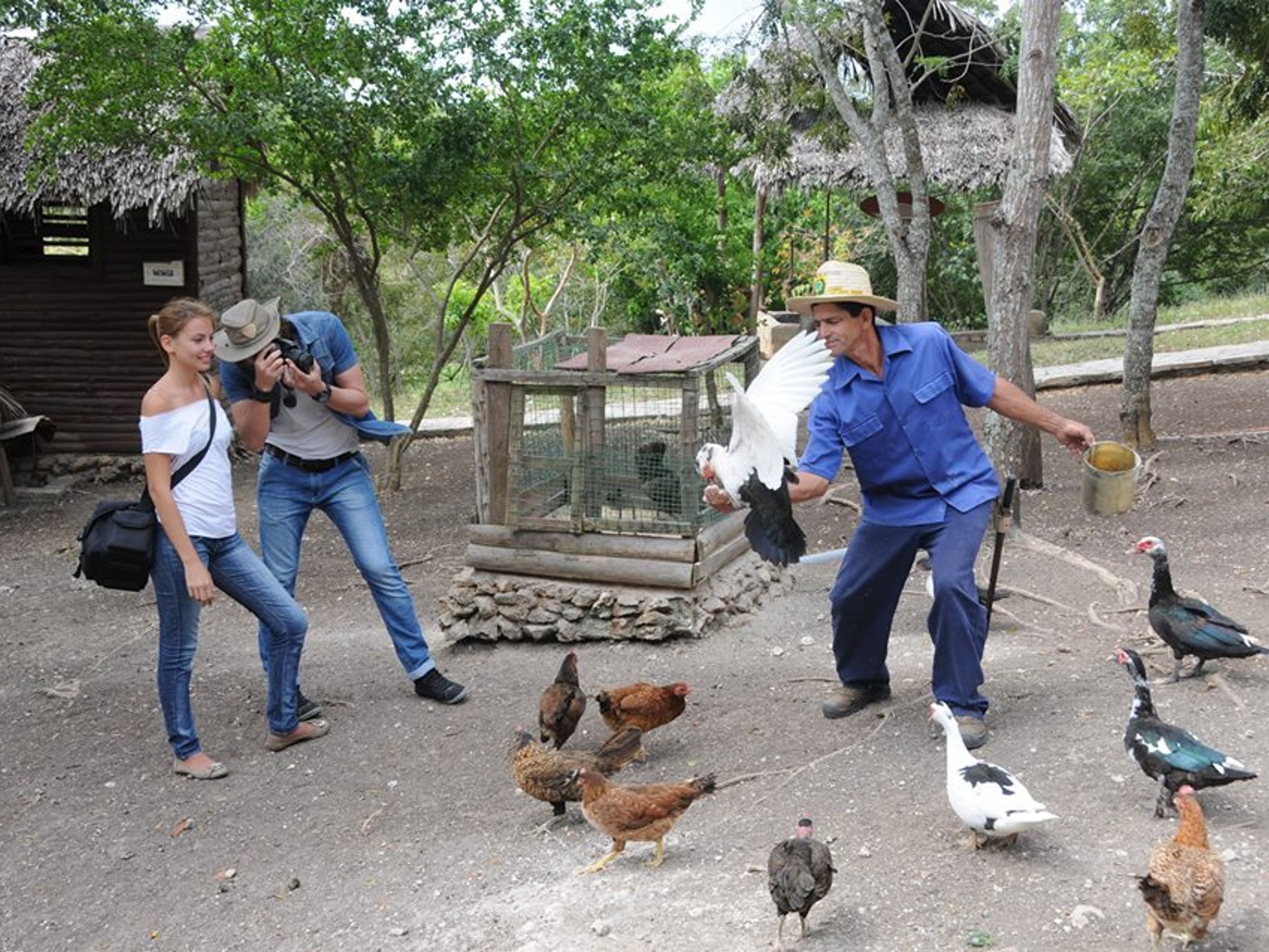 Тур "НАБЛЮДЕНИЕ ЗА ПТИЦАМИ В БИОПАРКЕ РОКАЗУЛЬ". “BIRDWATCHING IN ROCAZUL BIOPARK” Tour, Guardalavaca, Holguín, Cuba.