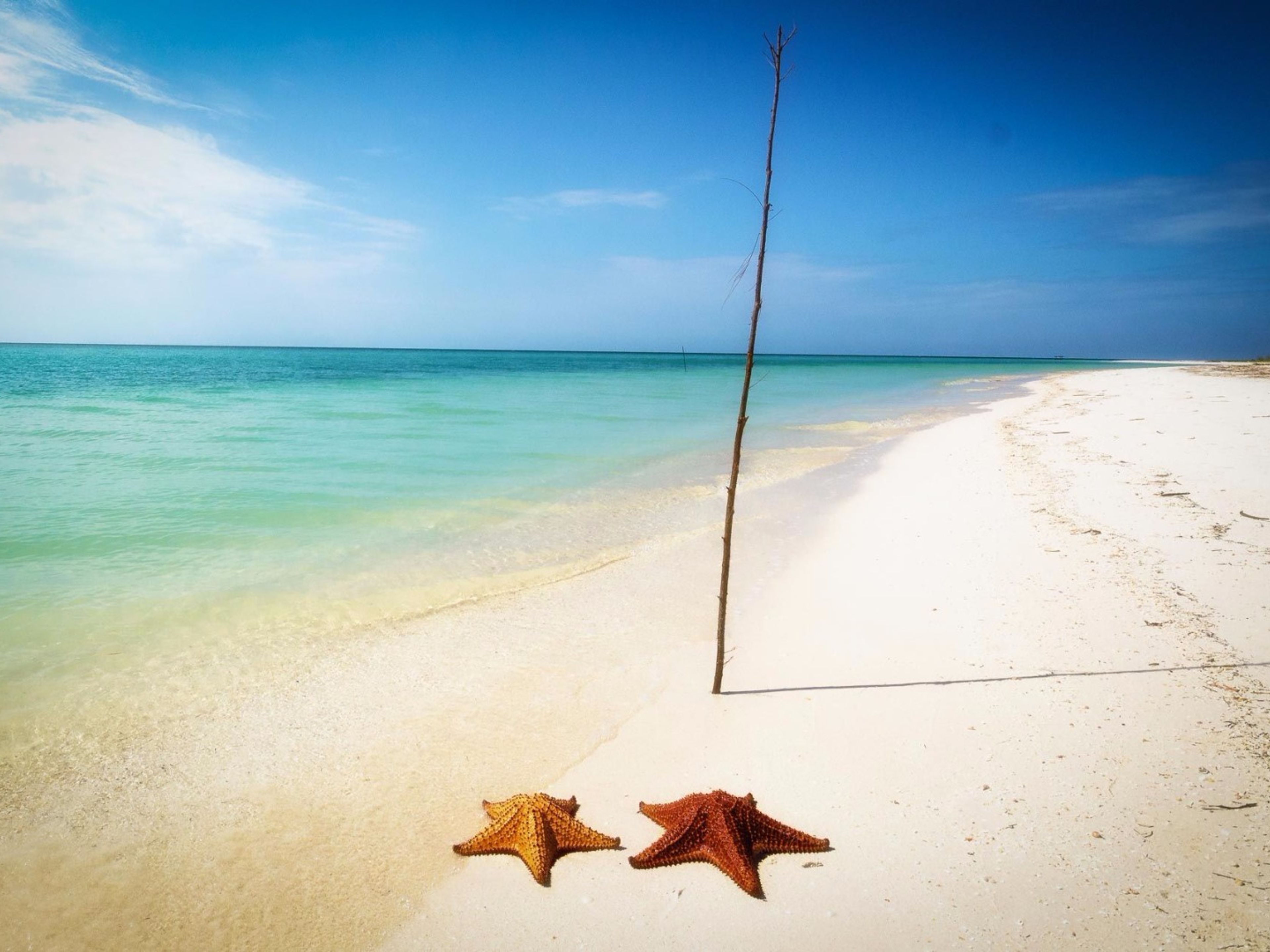 “CAYO LEVISA” Tour. Cayo Levisa beach panoramic view, Pinar del Río