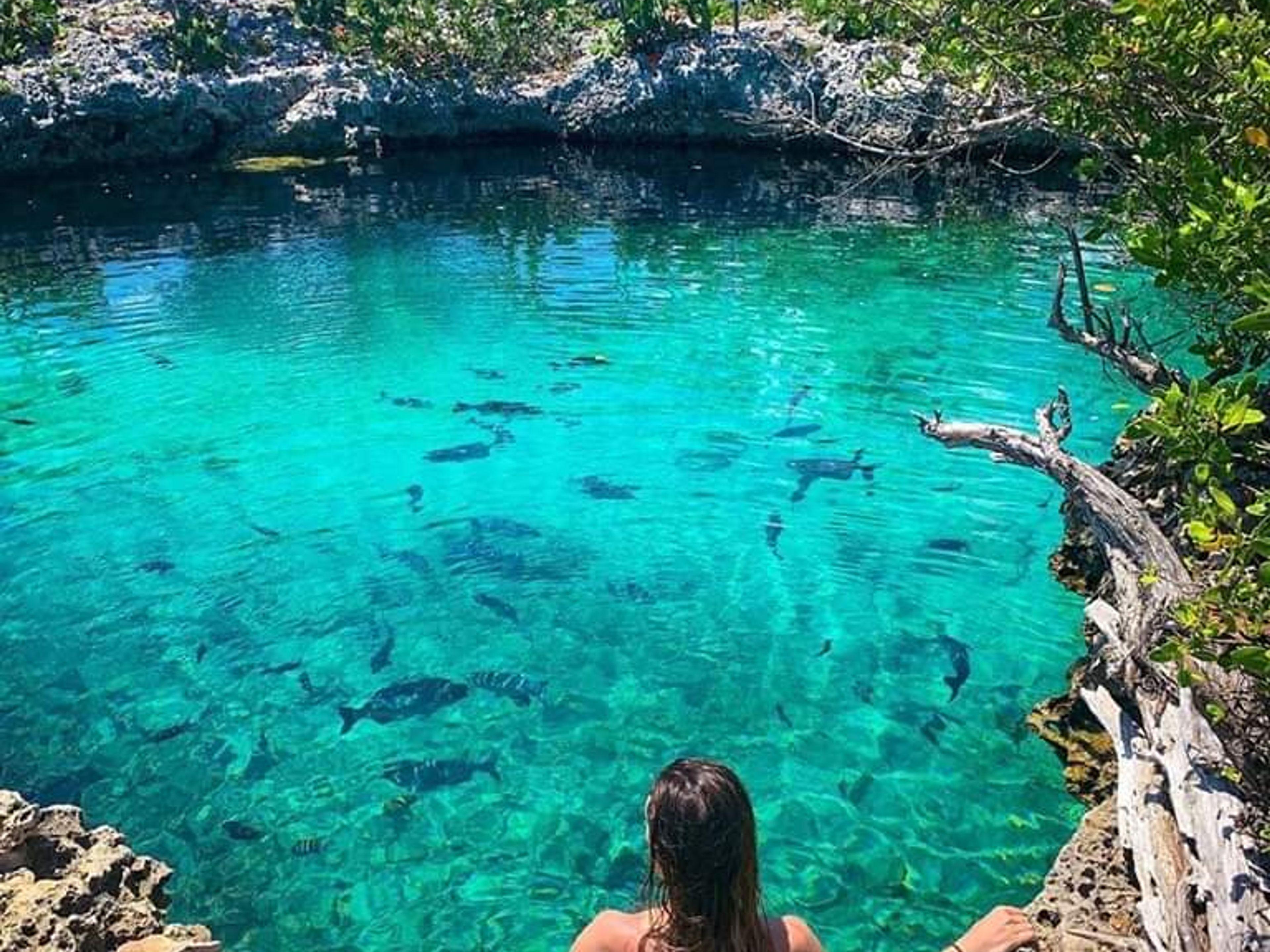 Джип Сафари "4X4 ДО КАЛЕТА БУЭНА". Caleta Buena, Playa Girón, Península de Zapata, Matanzas, Cuba