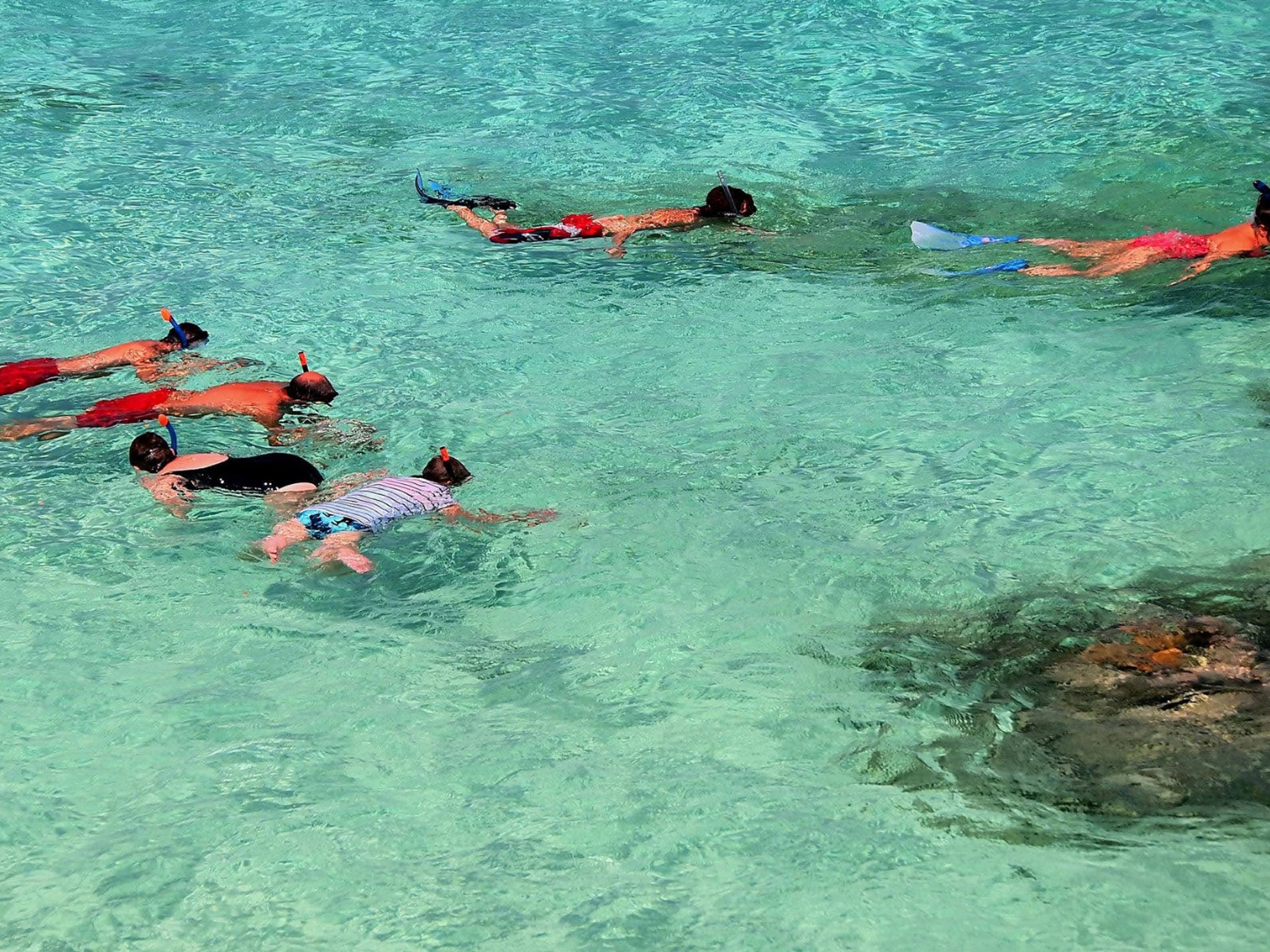 Тур “SEAFARI CRUCERO DEL SOL”. Snorkeling at the coral reef, Esmeralda beach