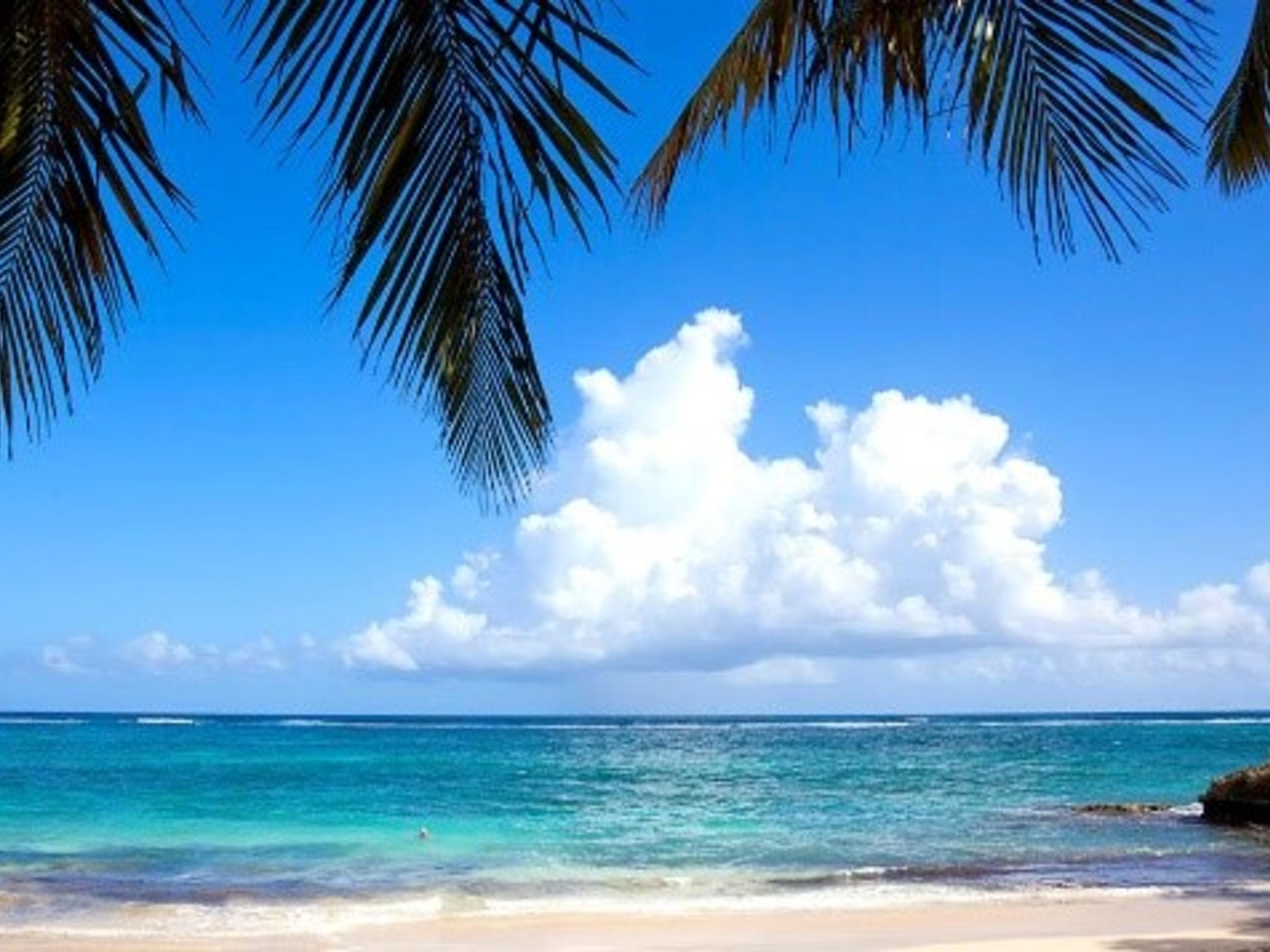 Тур "Гумбольдт-парк". Playa Maguana, Baracoa, Cuba