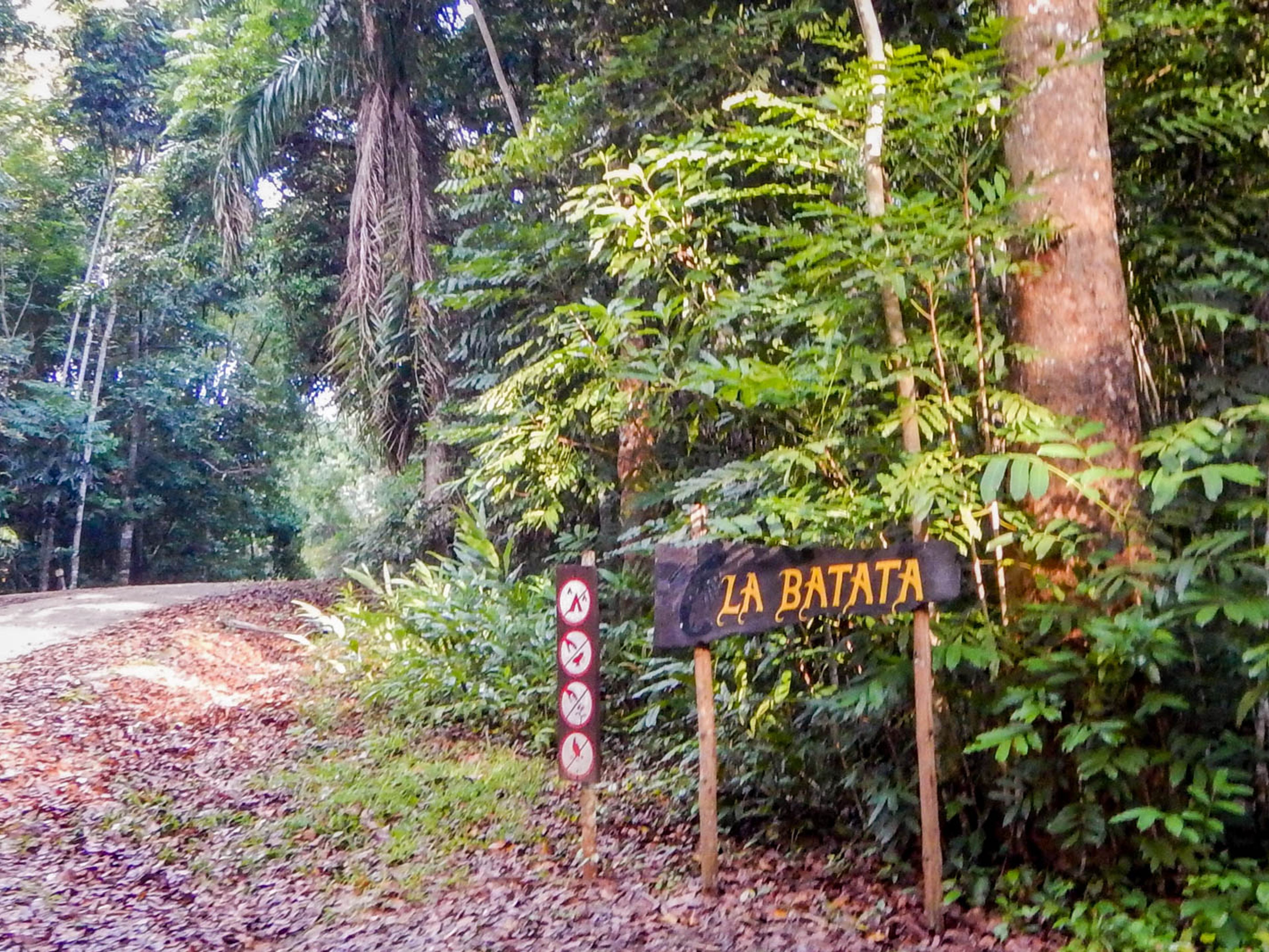 Excursión al “Altiplano de Tope de Collante” (Parques Naturales La Batata y Codina). “La Batata” trail, Topes de Collantes Natural Park