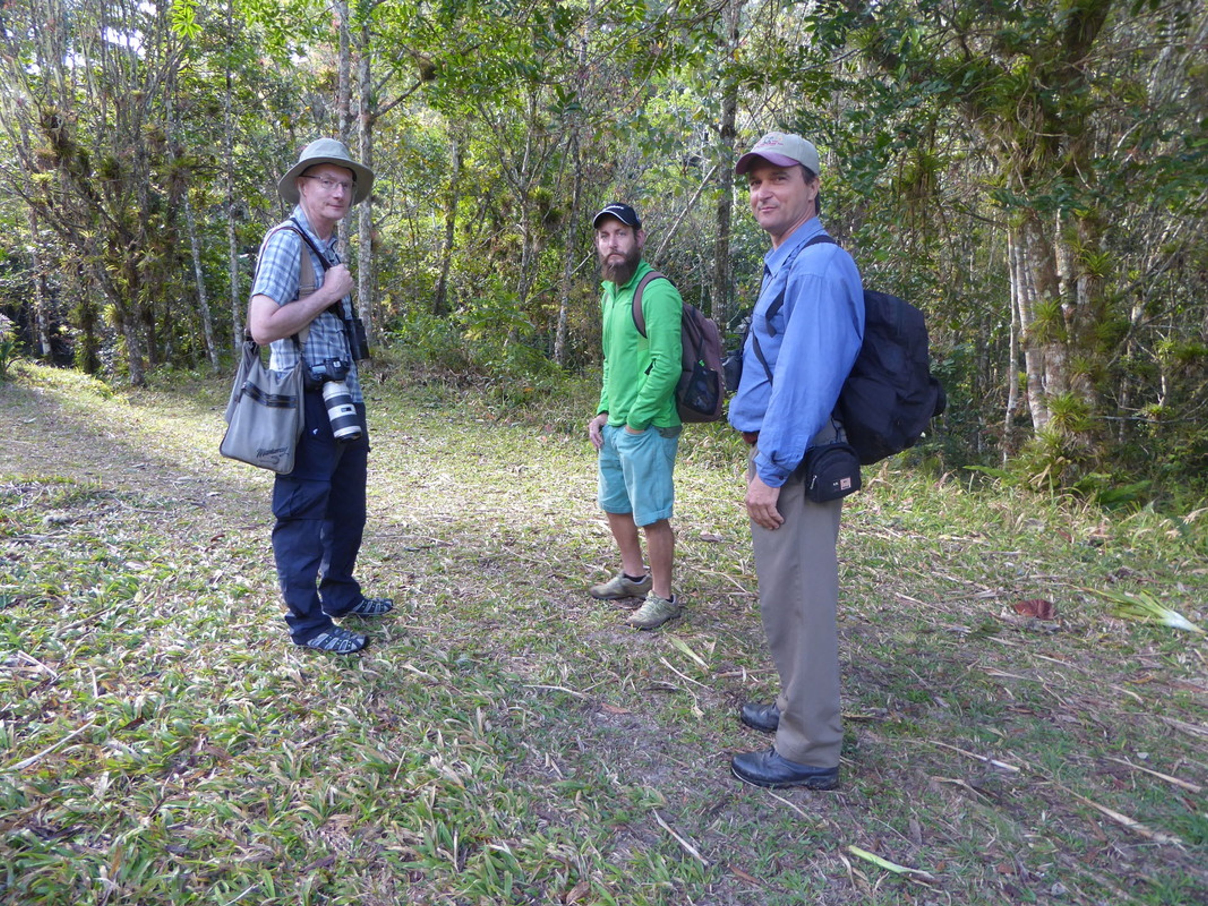 Excursión al “Altiplano de Tope de Collante” (Parques Naturales La Batata y Codina). “La Batata” trail, Topes de Collantes Natural Park