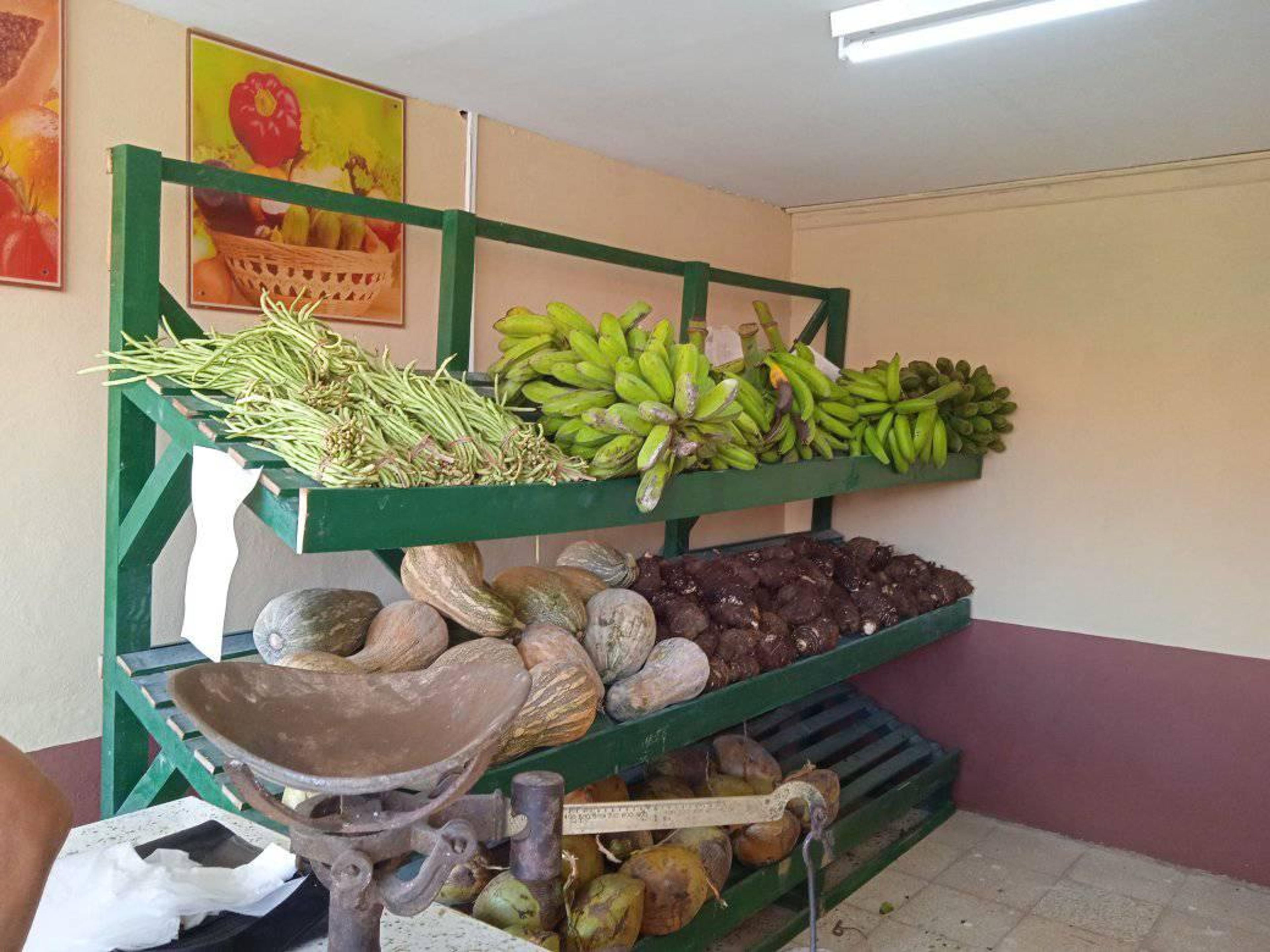 Tour "FERME LA  VEGUITA, LE PLUS GRAND PRODUCTEUR DE TABAC CULTIVÉ À L'OMBRE À CUBA". null