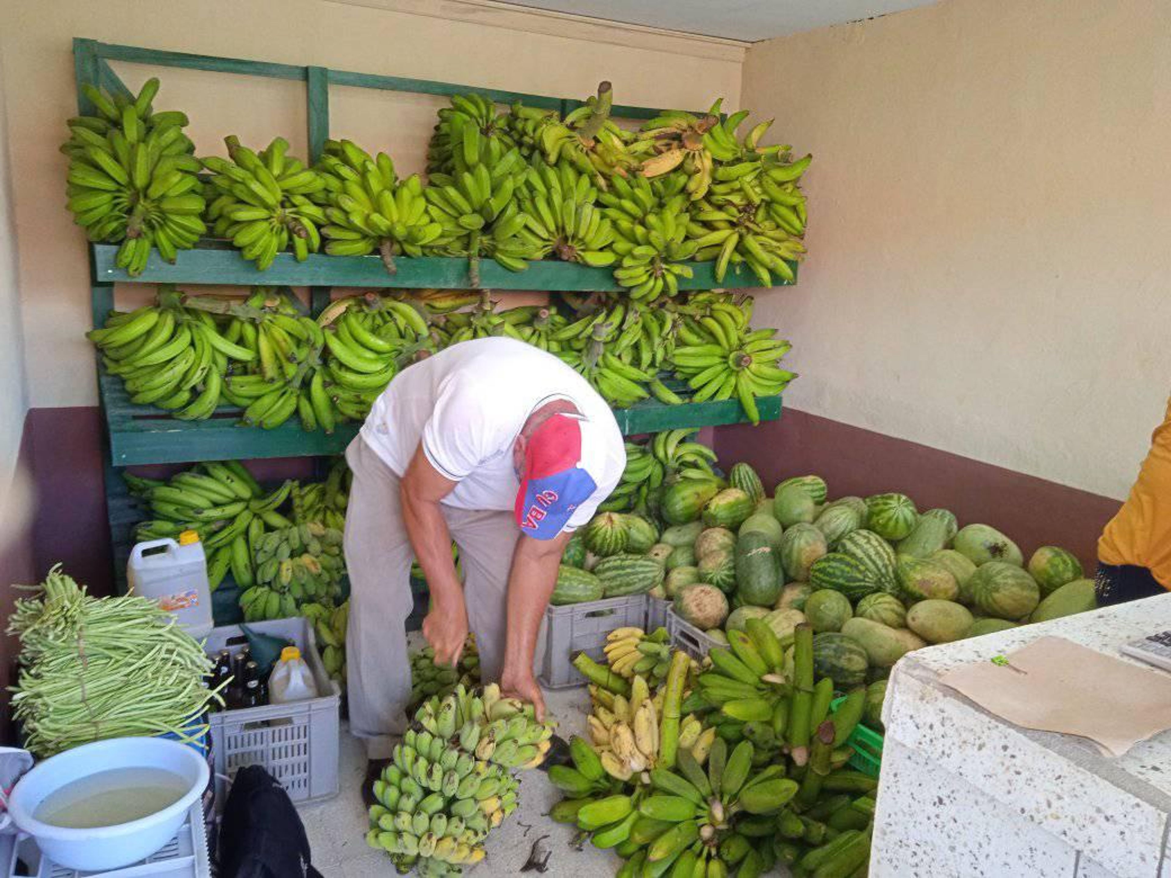 Tour "FERME LA  VEGUITA, LE PLUS GRAND PRODUCTEUR DE TABAC CULTIVÉ À L'OMBRE À CUBA". null