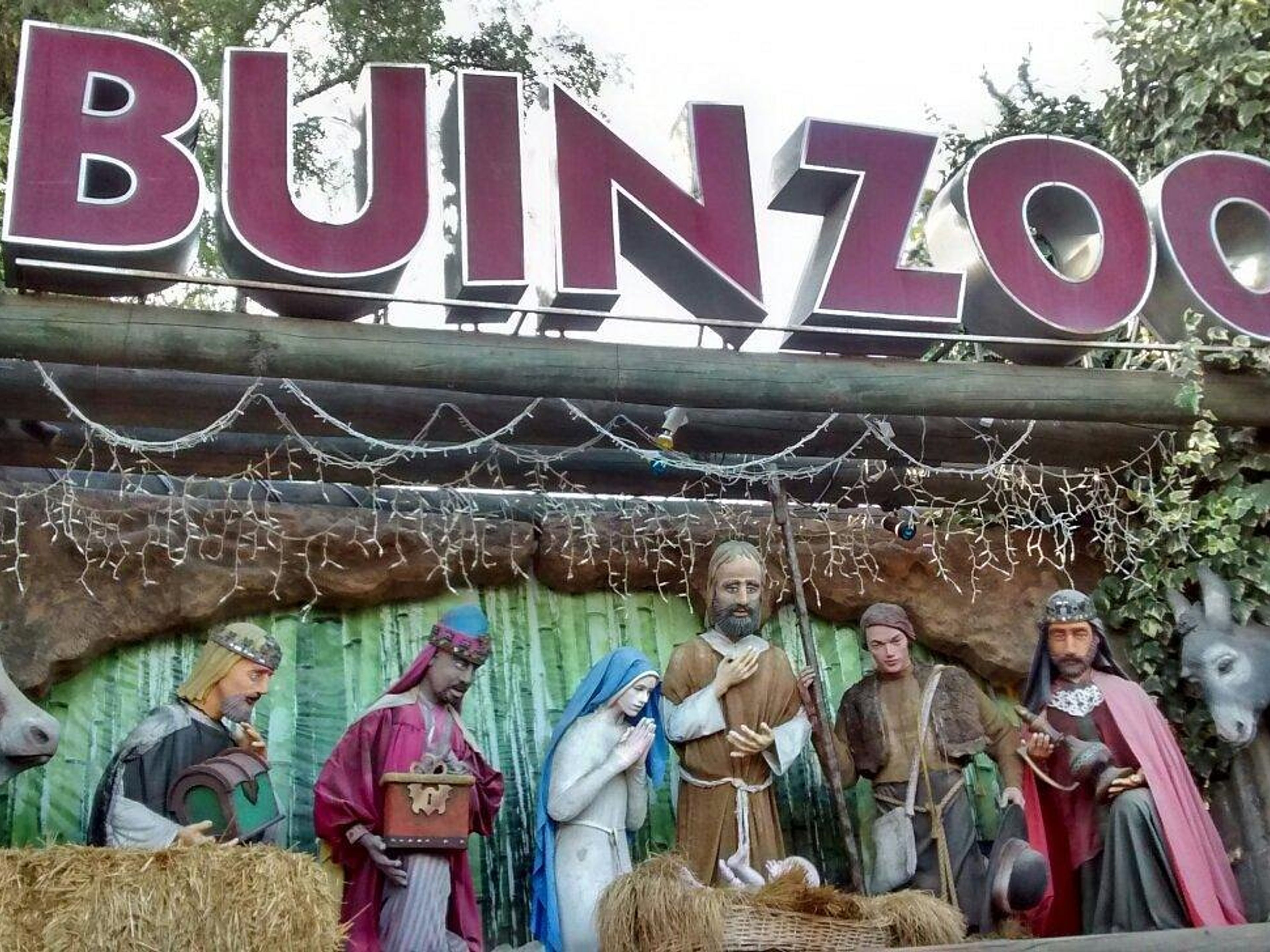 Excursión “VISITA AL PARQUE ZOOLOGICO BUIN ZOO”. “VISIT TO THE BUIN ZOO” Tour, Santiago de Chile.