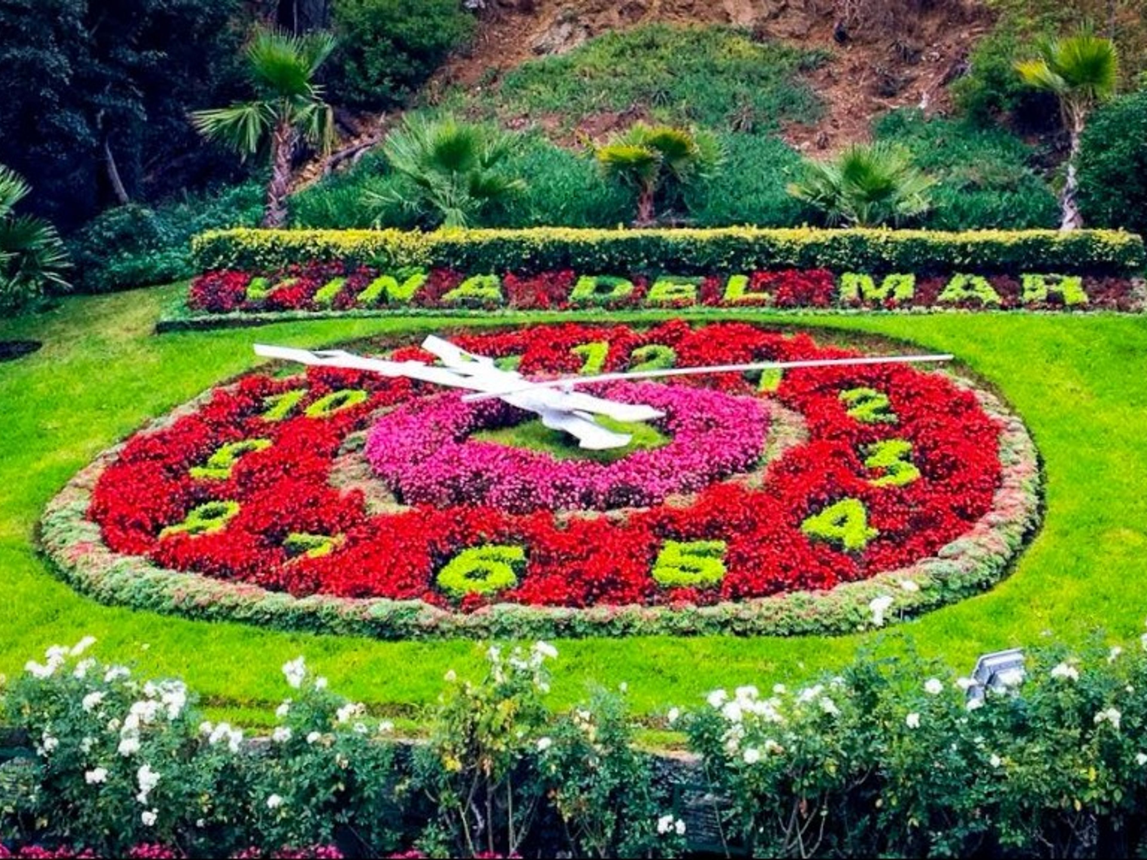 “VIÑA DEL MAR UND VALPARAISO“ Stadtrundgang. null