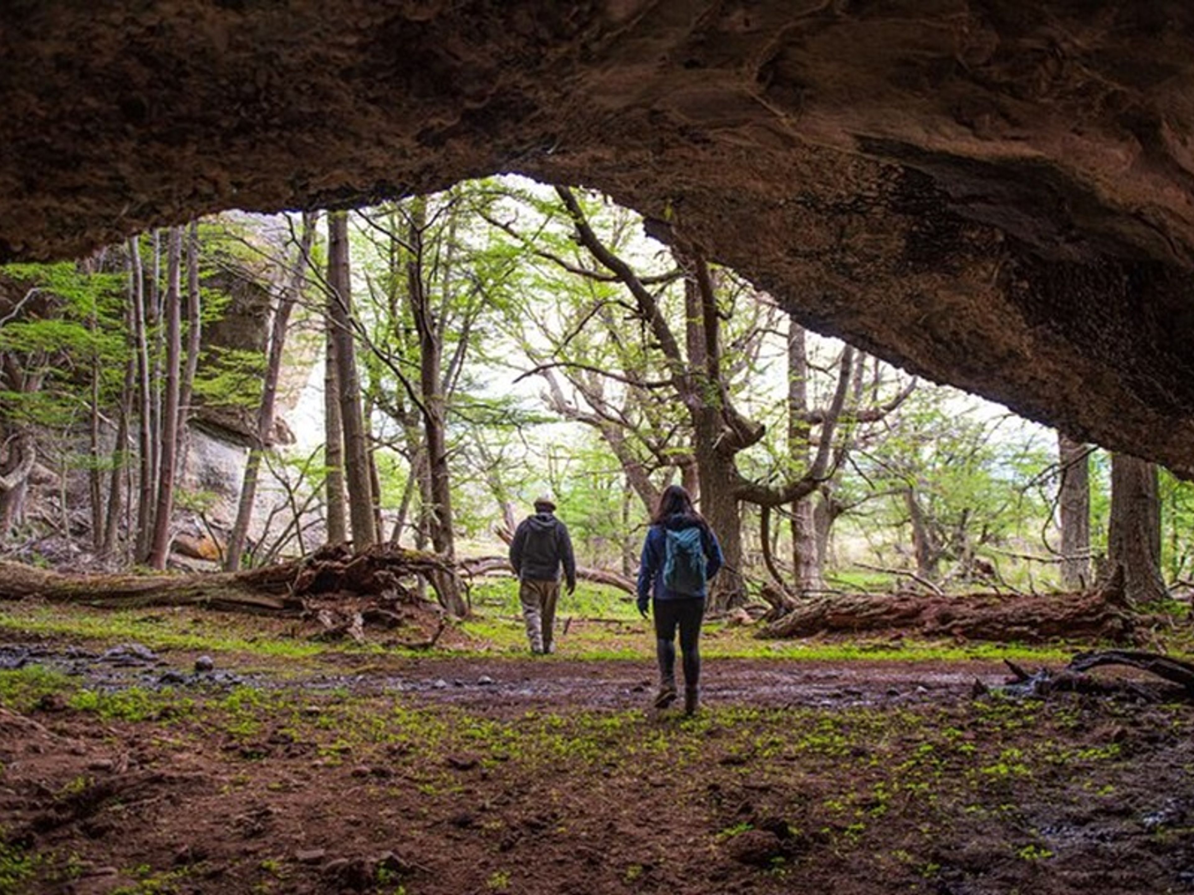 Tур "НАСКОЛЬНЫЕ РИСУНКИ В СЕРРО БЕНИТЕС"