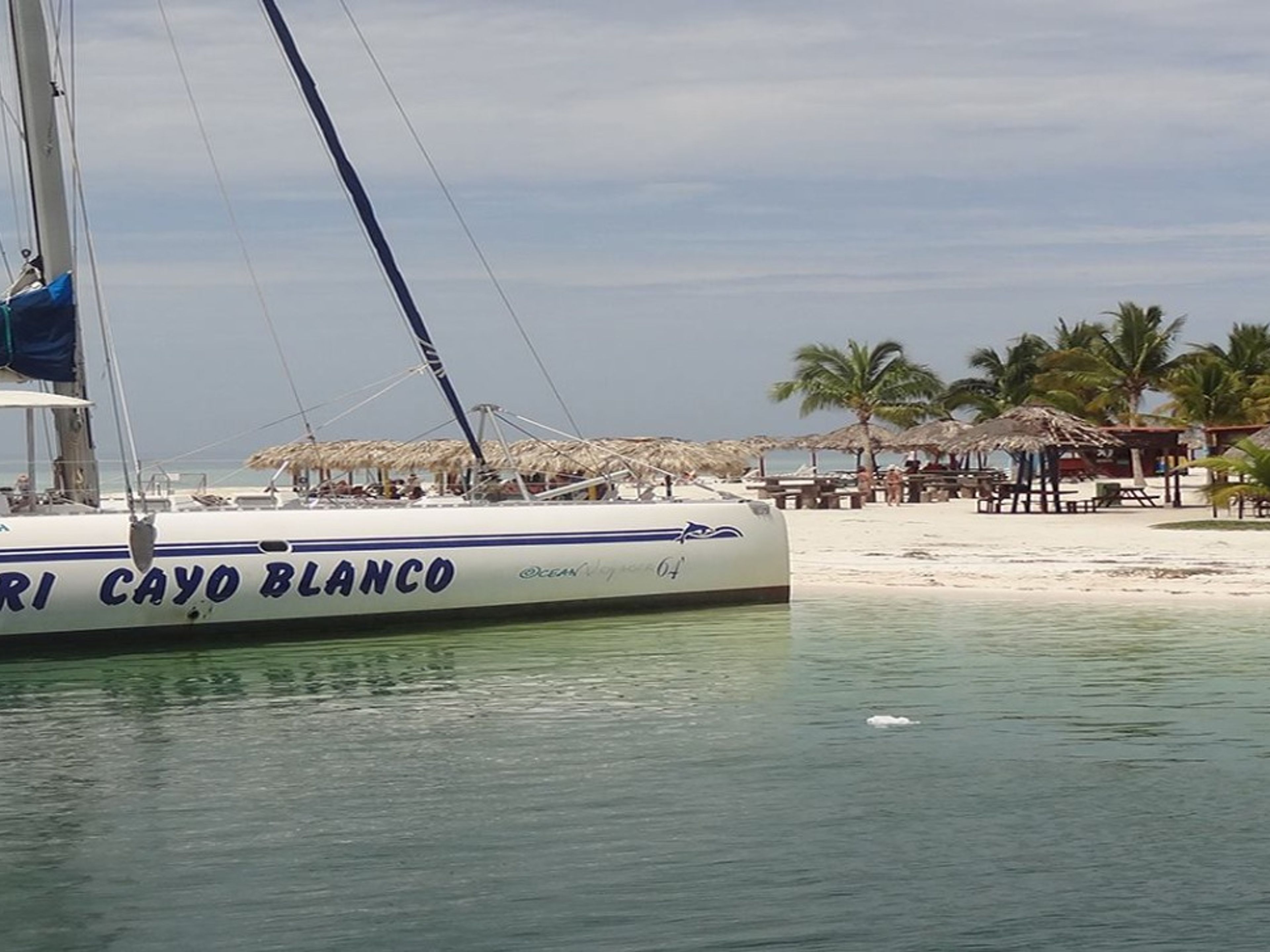Excursão “SEAFARI CAYO BLANCO PLUS” (inclui contacto interactivo com golfinhos). “SEAFARI CAYO BLANCO PLUS” Tour (includes interactive dolphin contact), Varadero, Matanzas, Cuba.