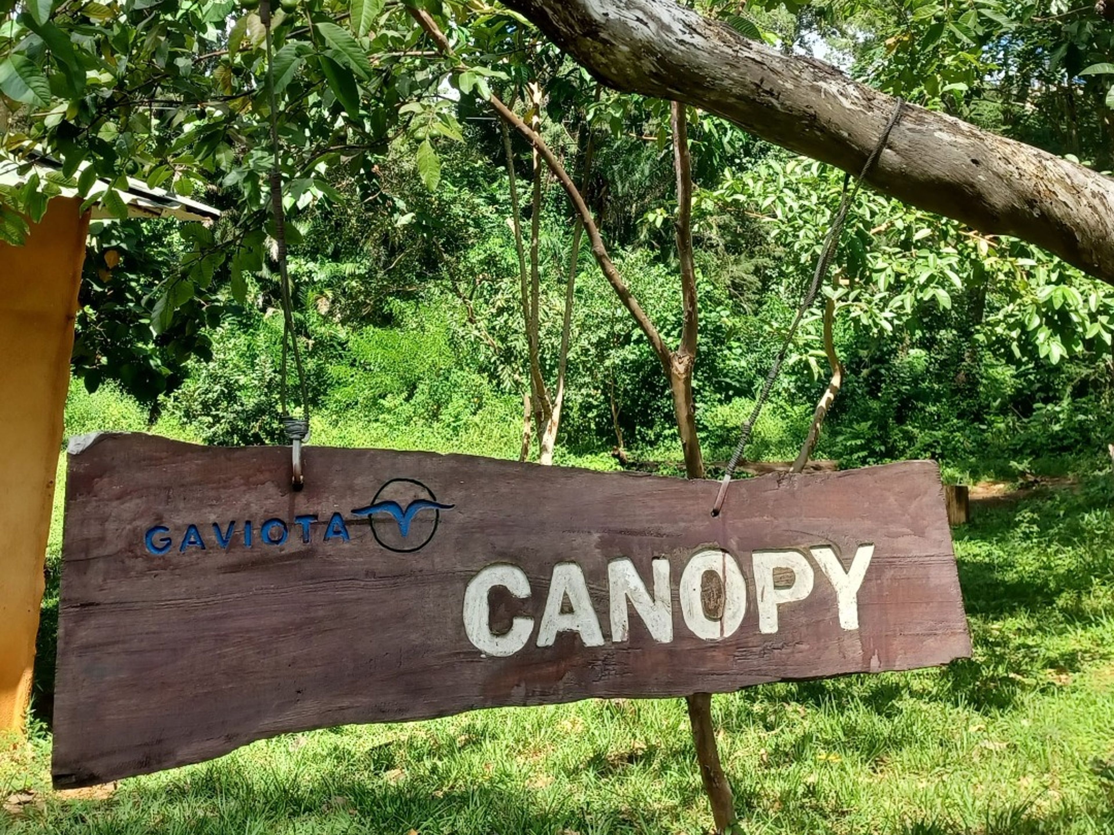 Excursión "CANOPY EN EL PARQUE NATURAL TOPES DE COLLANTES". "CANOPY IN TOPES DE COLLANTES NATURAL PARK" Tour, Cuba.