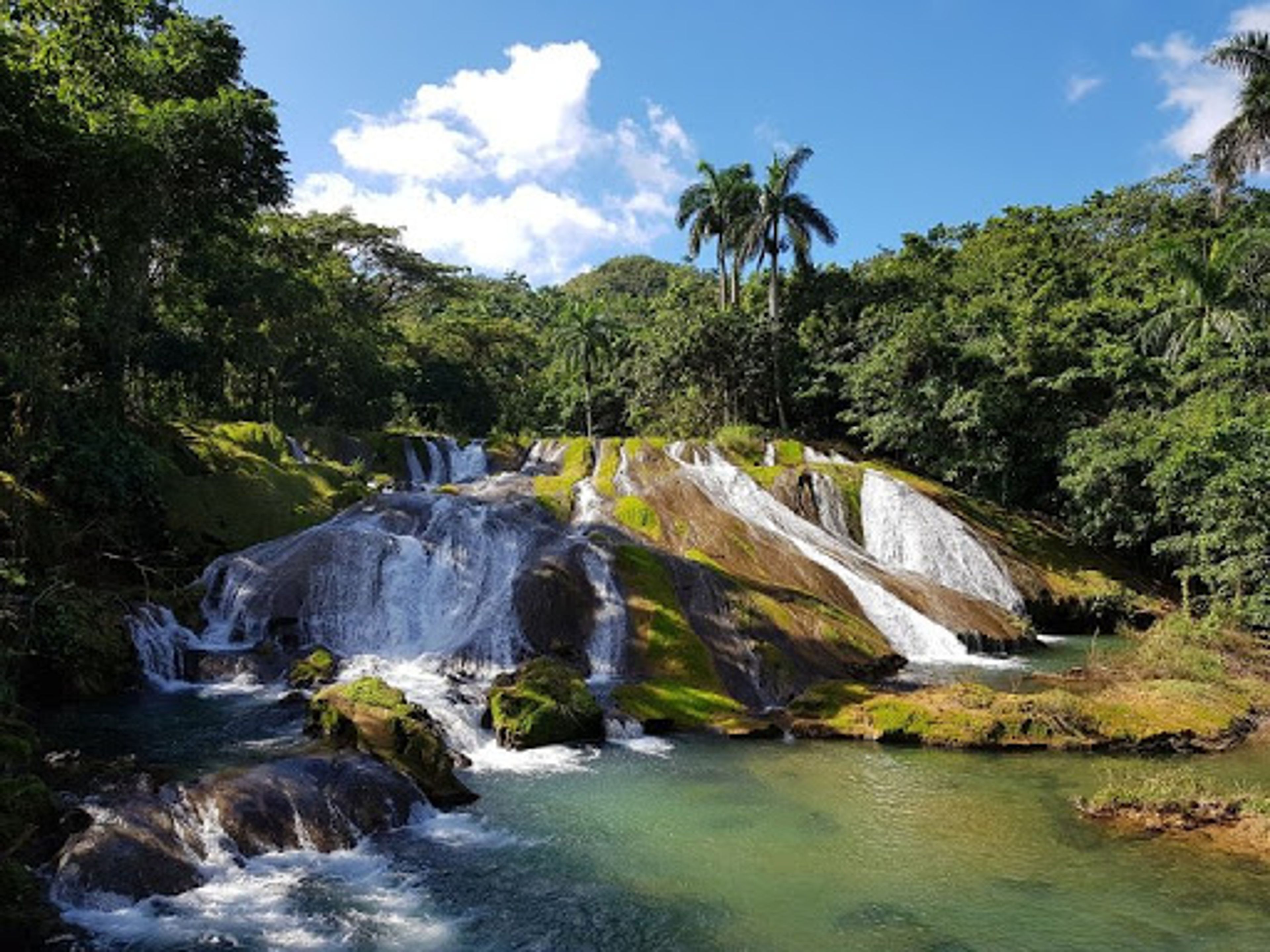 «Природный тур Ничо-Тринидад в американском классическом автомобиле». "Nature Tour Nicho-Trinidad in American Classic Car"
