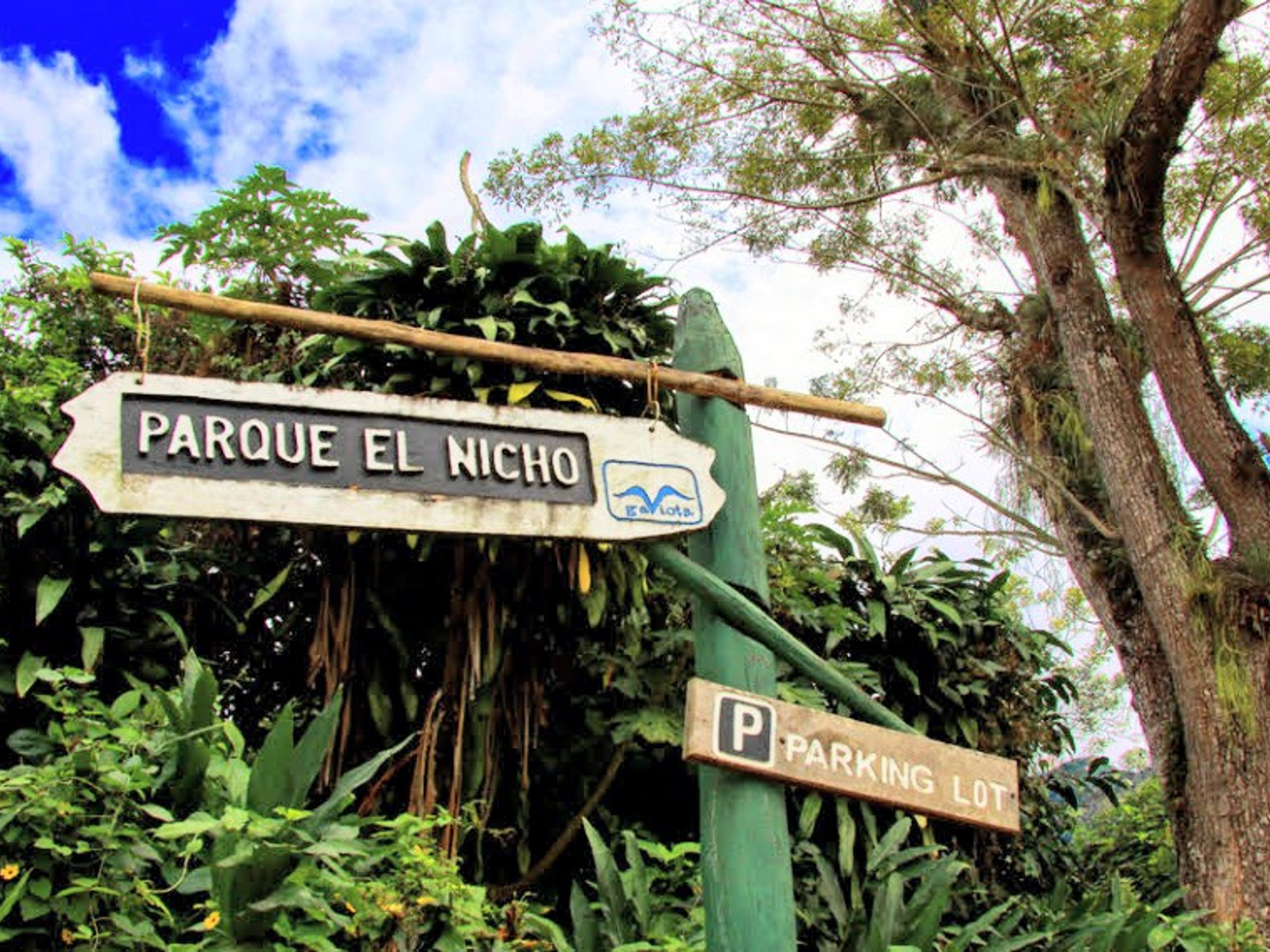 "Nature Tour Nicho-Trinidad in American Classic Car". "Nature Tour Nicho-Trinidad in American Classic Car"