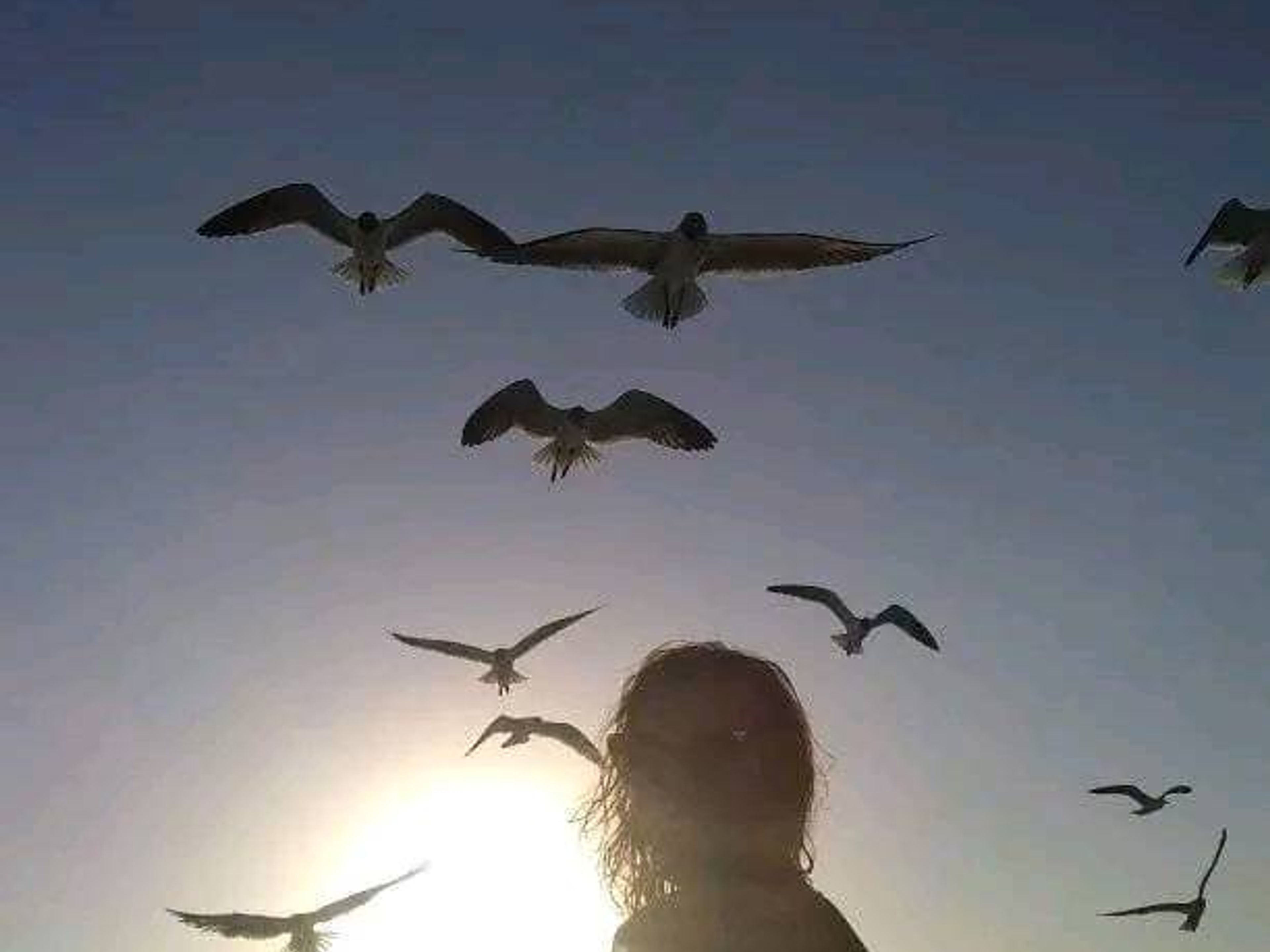 Excursão "PÔR DO SOL EM JARDINES DEL REY". “SUNSET IN JARDINES DEL REY” Tour, Cayo Guillermo, Ciego de Ávila, Cuba.