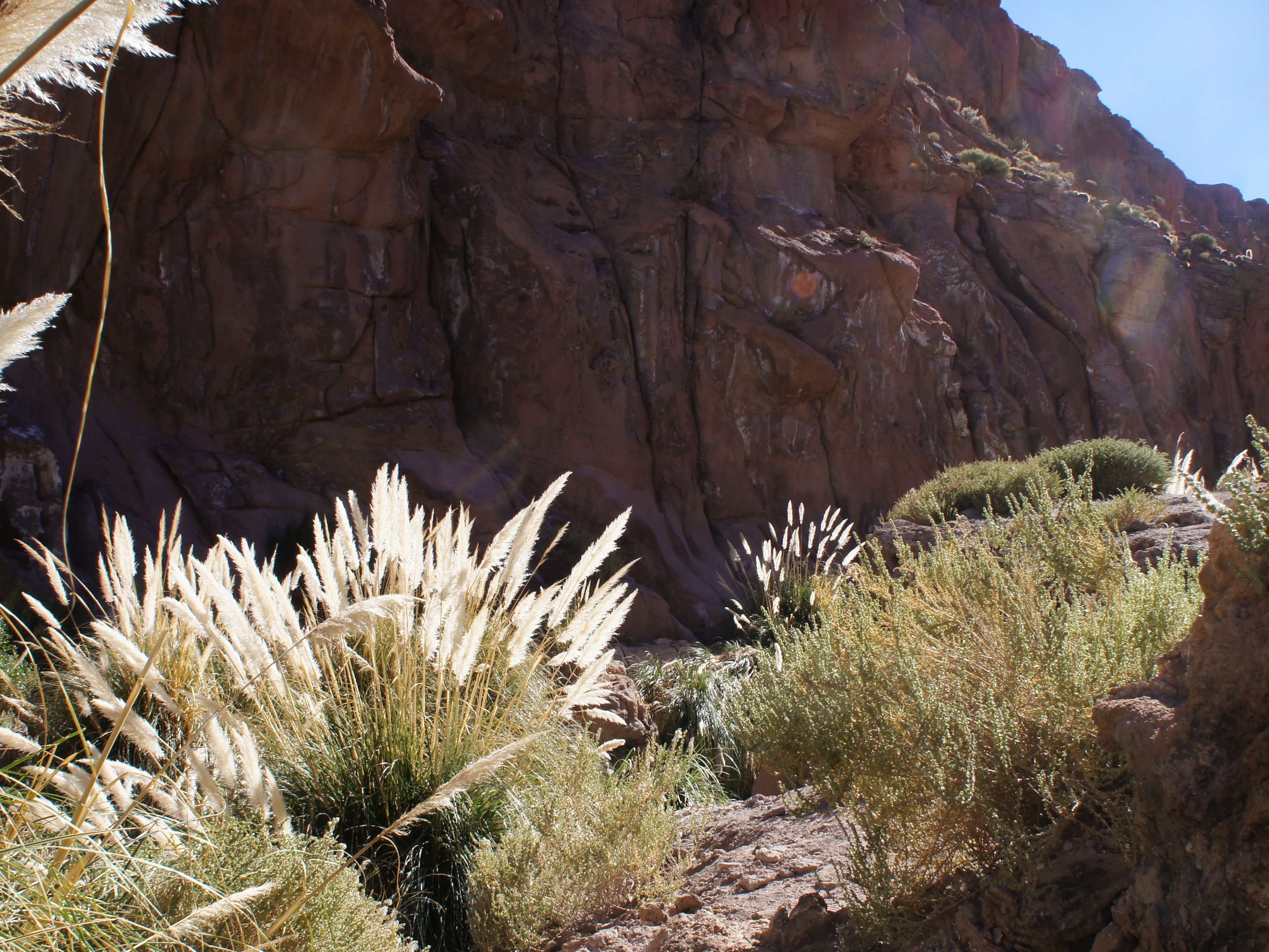Tур ПРЕМИУМ "ТРЕККИНГ В ГУАТИН – ПУРИТАМА". "TREKKING TO GUATÍN - PURITAMA" PREMIUM Tour, San Pedro de Atacama, Chile. 
