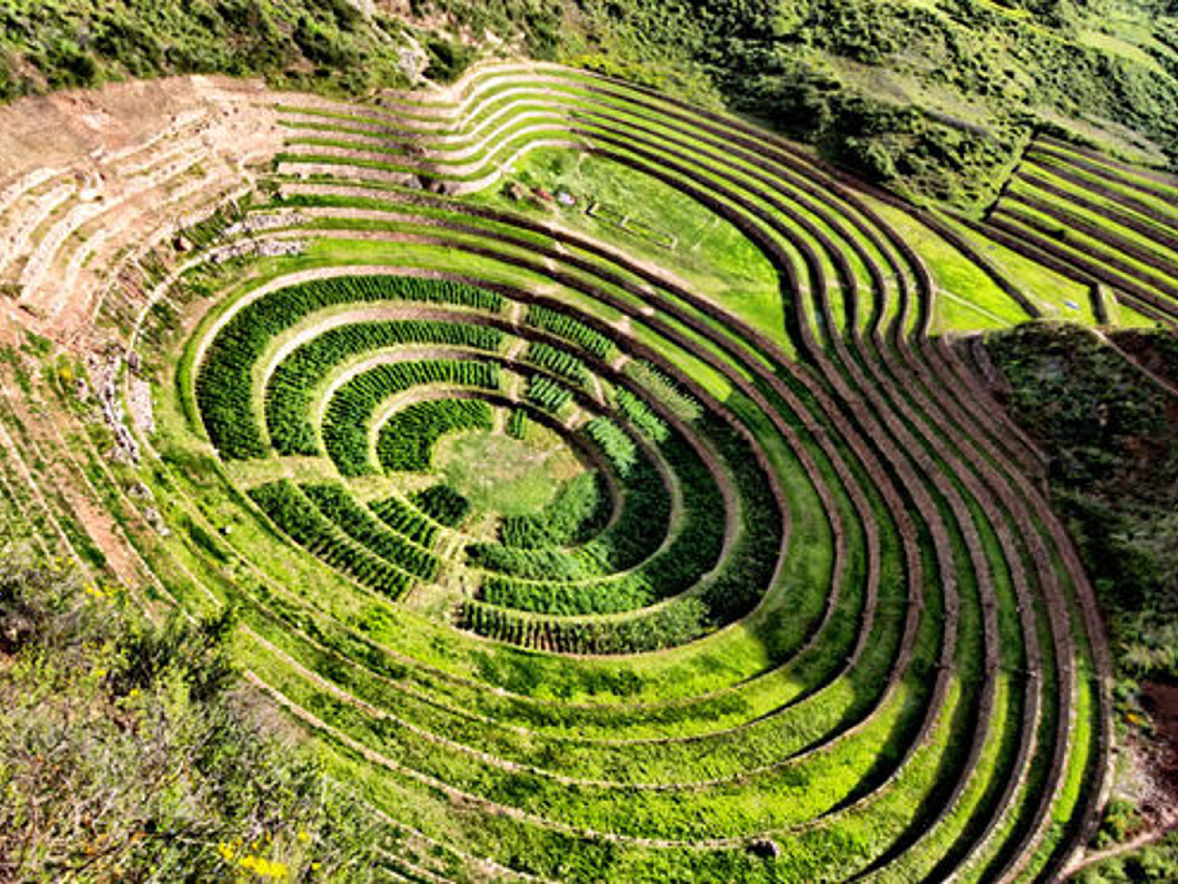 TOUR DELLE MURENE SALINERAS.. Moray, Peru