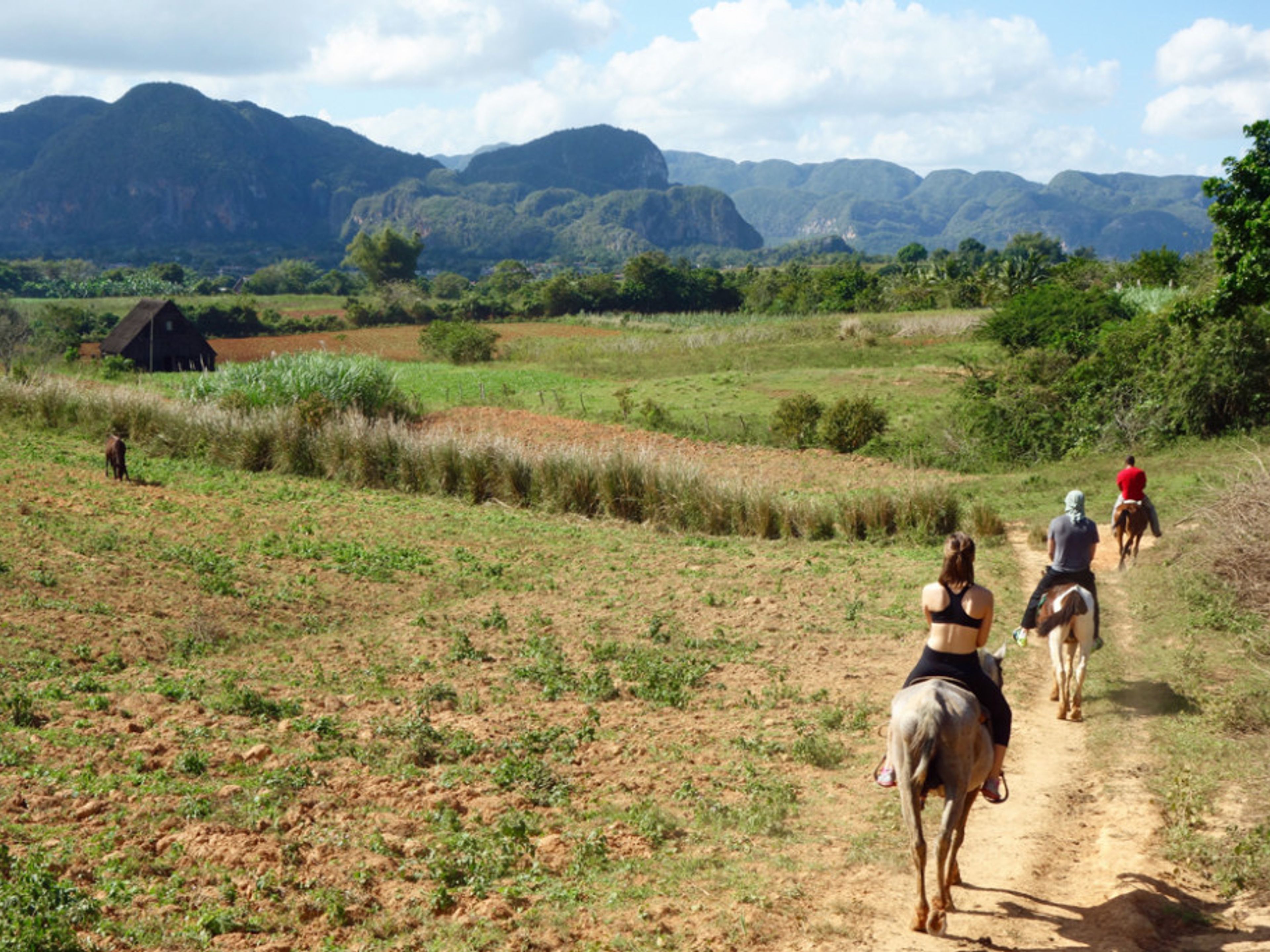 "Tour a cavallo attraverso la Valle del Palmarito". Horseback Riding Through the Valle de Palmarito, Viñales valley National Park, Pinar del Río