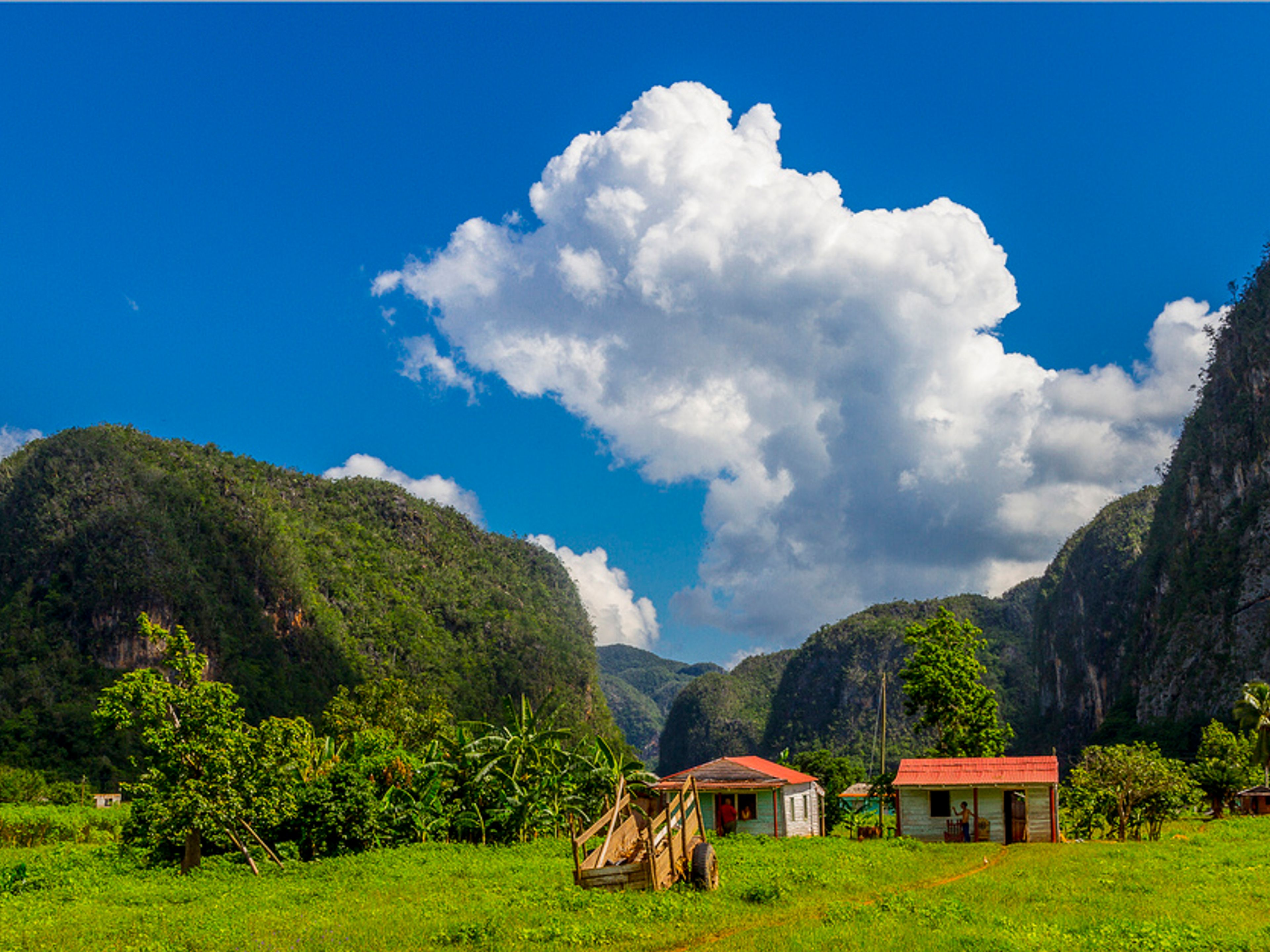 "Tour a cavallo attraverso la Valle del Palmarito". The Valle de Palmarito panoramic view, Viñales valley National Park, Pinar del Río