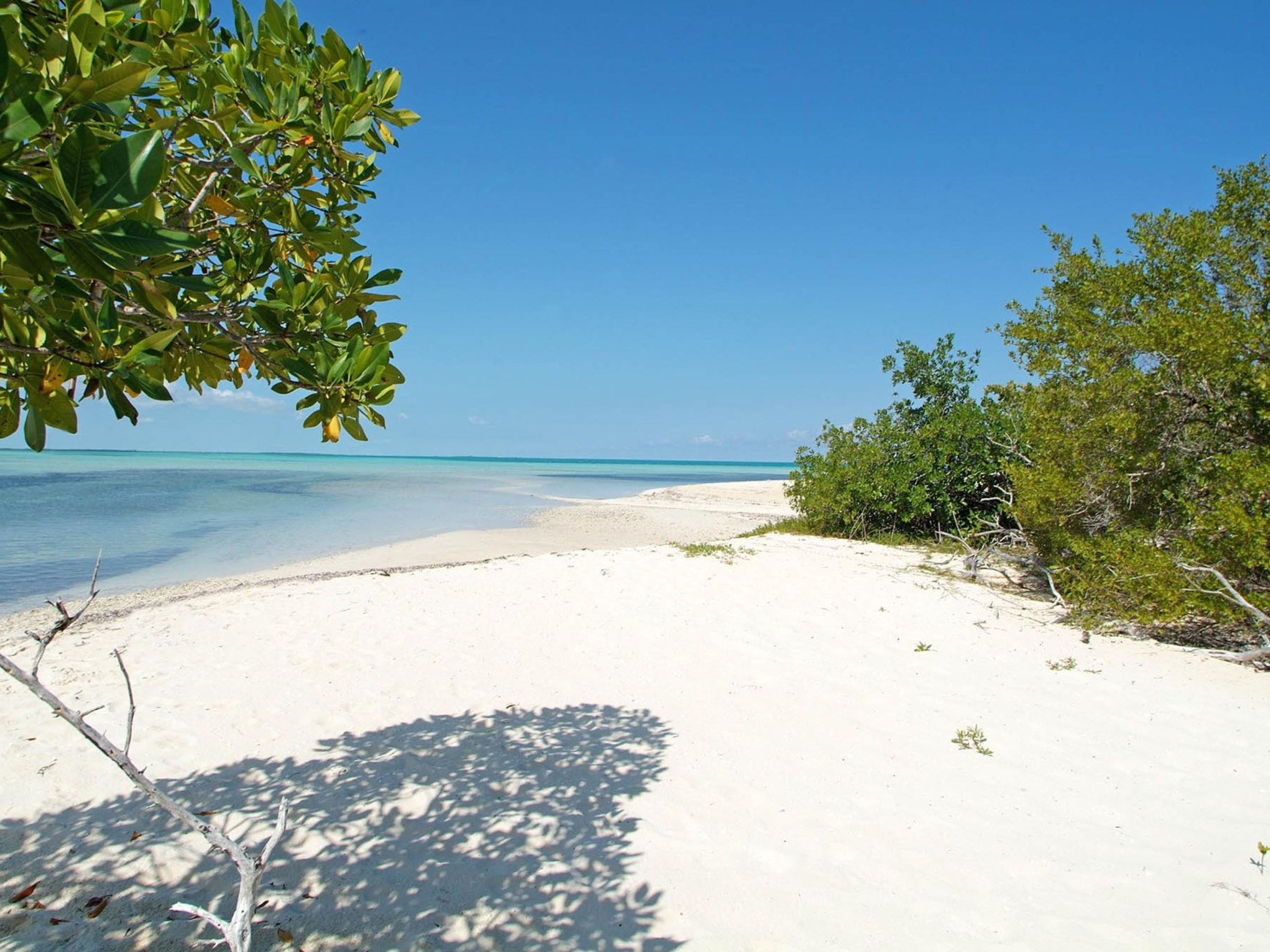 Tour "NOLEGGIO PRIVATO A JARDINES DEL REY". Jardines del Rey panoramic beach view