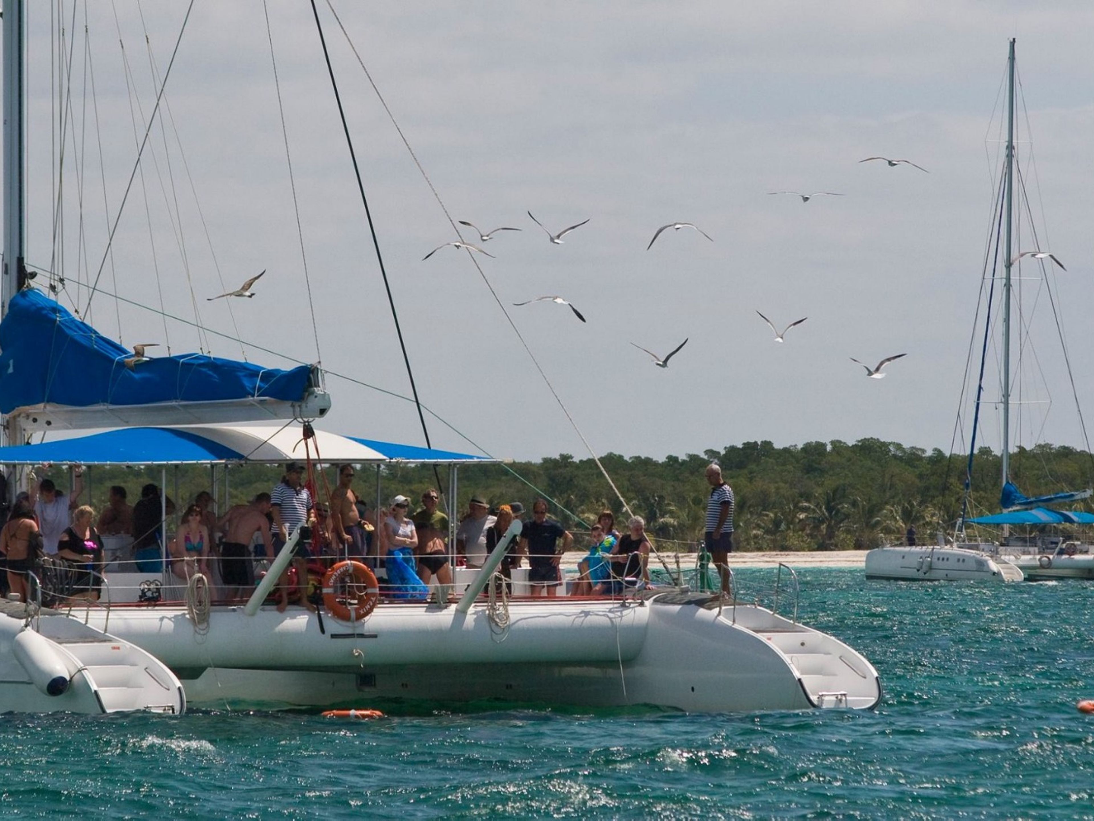 Excursión “SEAFARI CRUCERO DEL SOL”. “Seafari Crucero del Sol“ Tour in Jardines del Rey.