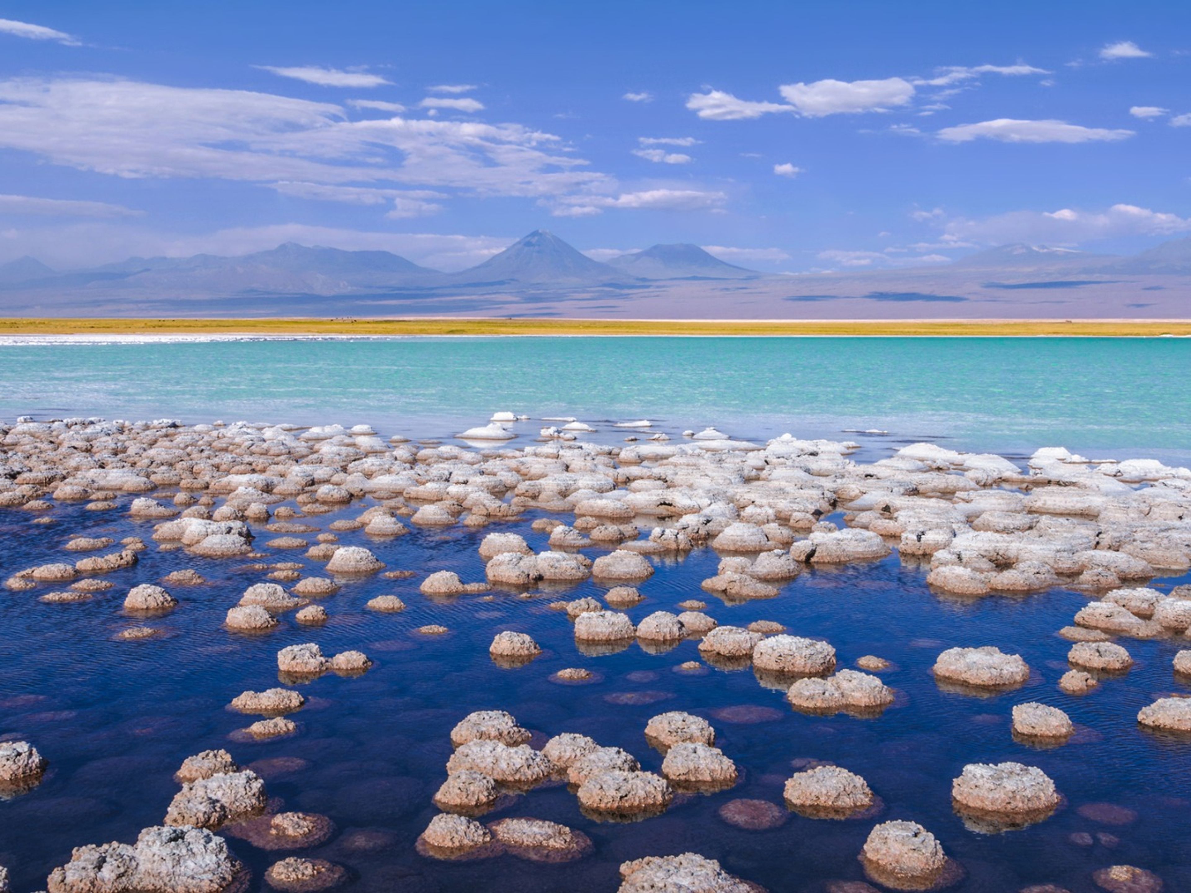 Excursion "Salar de Atacama et lagunes altiplaniques".. Atacama salt flat, “Atacama Salt Flat & Altiplanic Lagoons” Tour