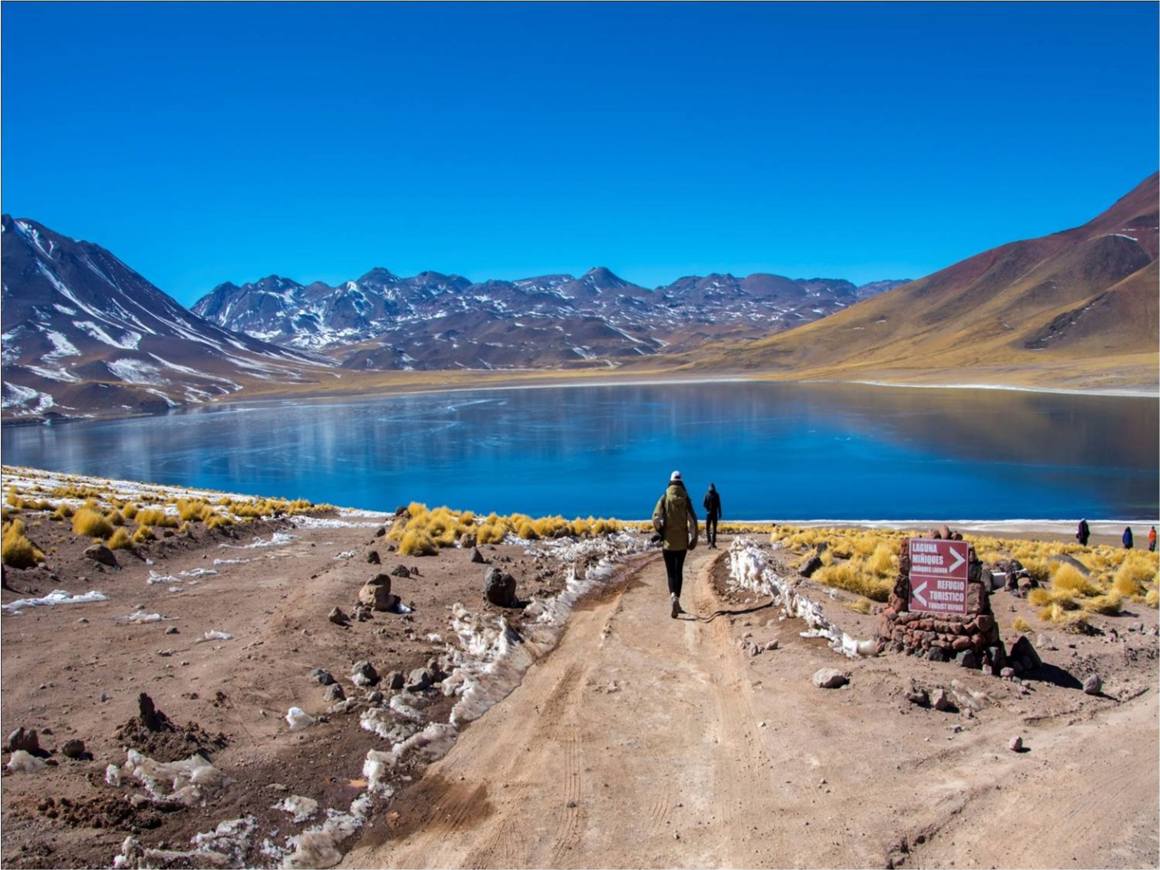 Excursion "Salar de Atacama et lagunes altiplaniques".. Chaxa Lagoon "Atacama Salt Flat & Altiplanic Lagoons" Tour