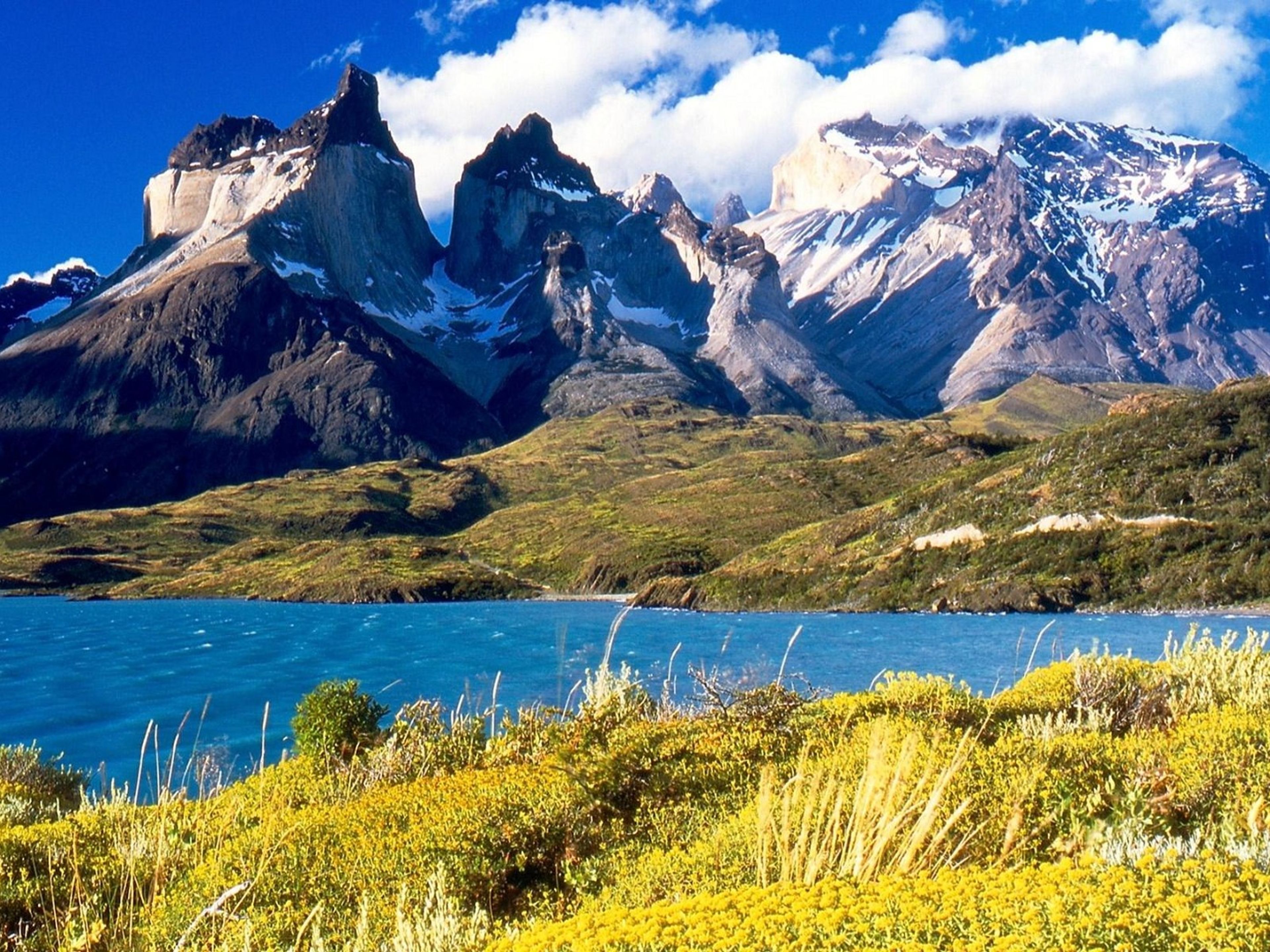 Excursión "PARQUE NACIONAL TORRES DEL PAINE Y CUEVA DEL MILODON + ALMUERZO". "TORRES DEL PAINE NATIONAL PARK AND MILODÓN CAVE + LUNCH" Tour, Chile.
