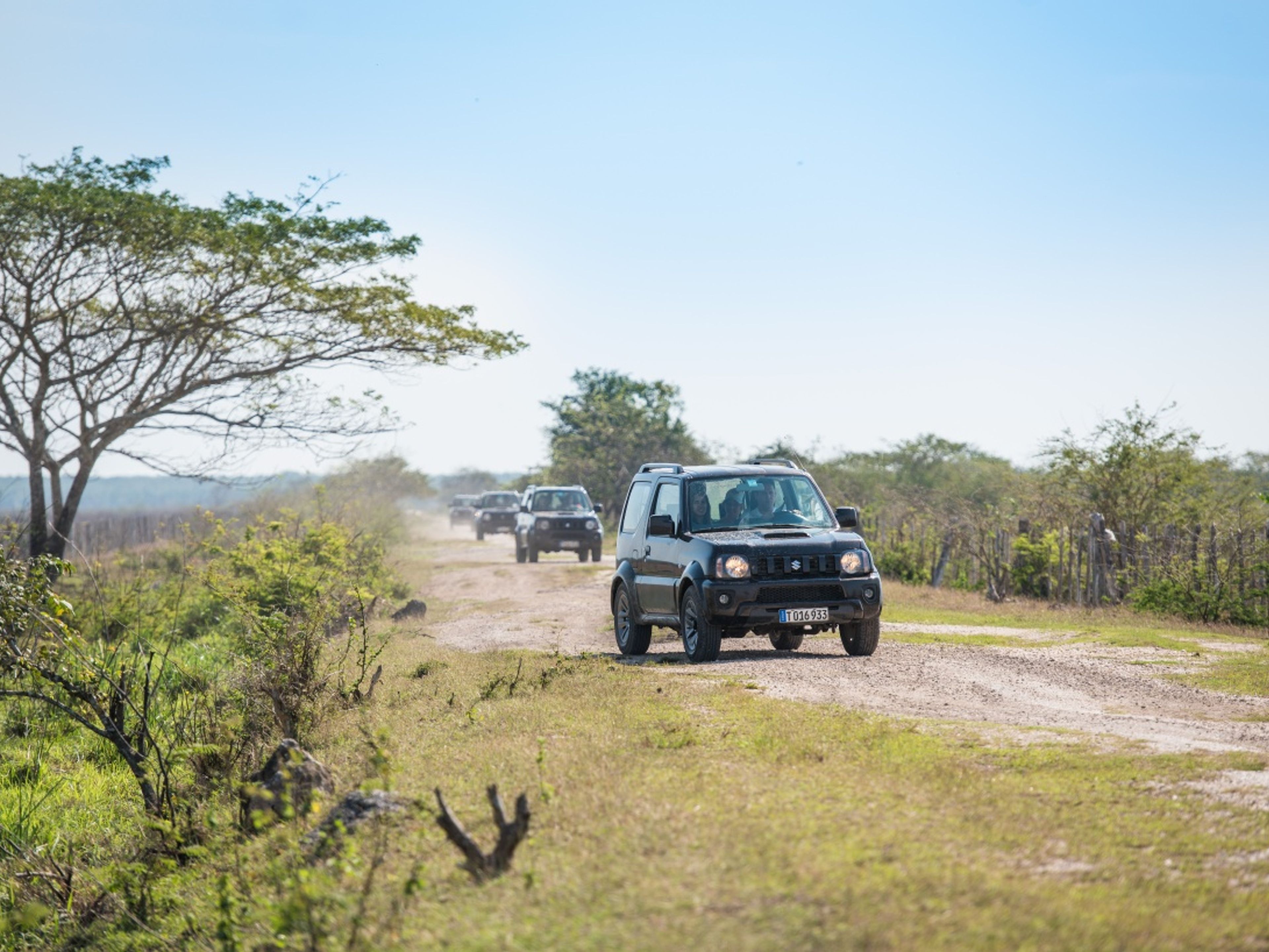 Jeep Safari "GREEN & BLUE". Jeep Safari "GREEN & BLUE"