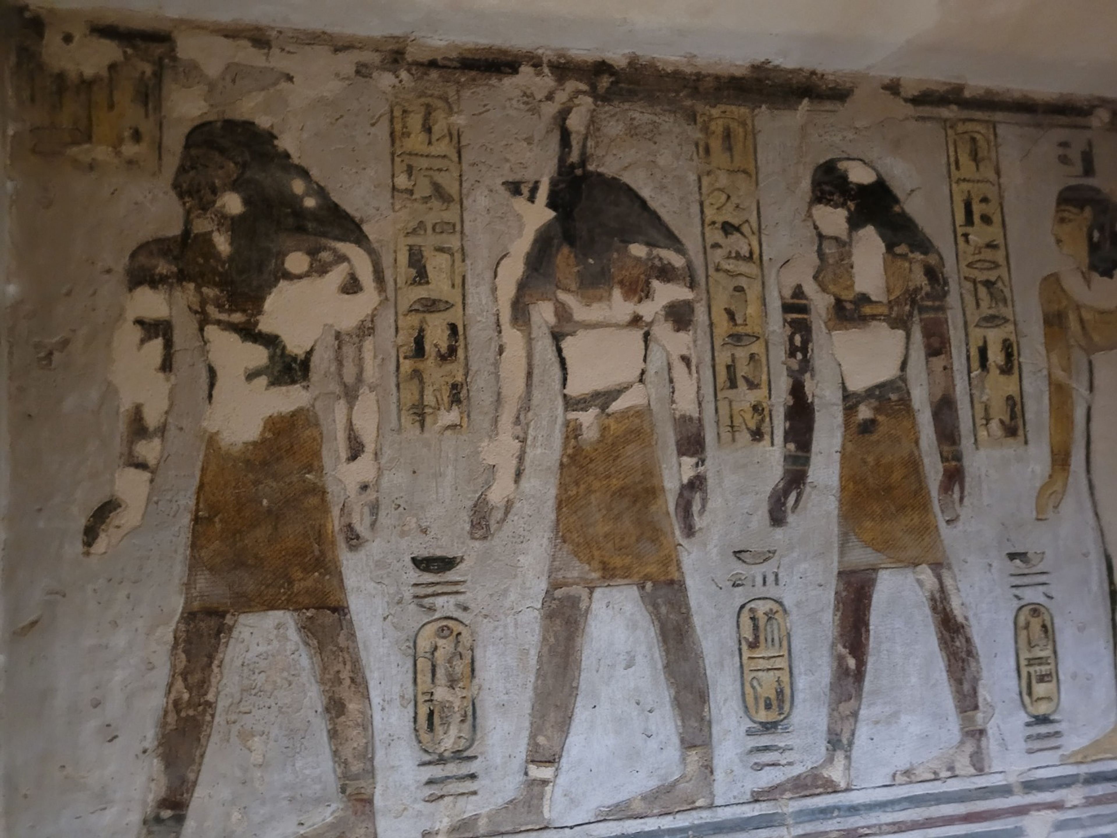 Tour privé "VISITES D'UNE JOURNÉE COMPLÈTE AU LUXOR (LA RIVE OUEST DU NIL : LA VALLÉE DES ROIS - LE TEMPLE D'HATSHEPSOUT - LES COLOSSE DE MEMNON)". The Valley of the Kings, the famous Necropolis of Thebes, Luxor, Egypt.