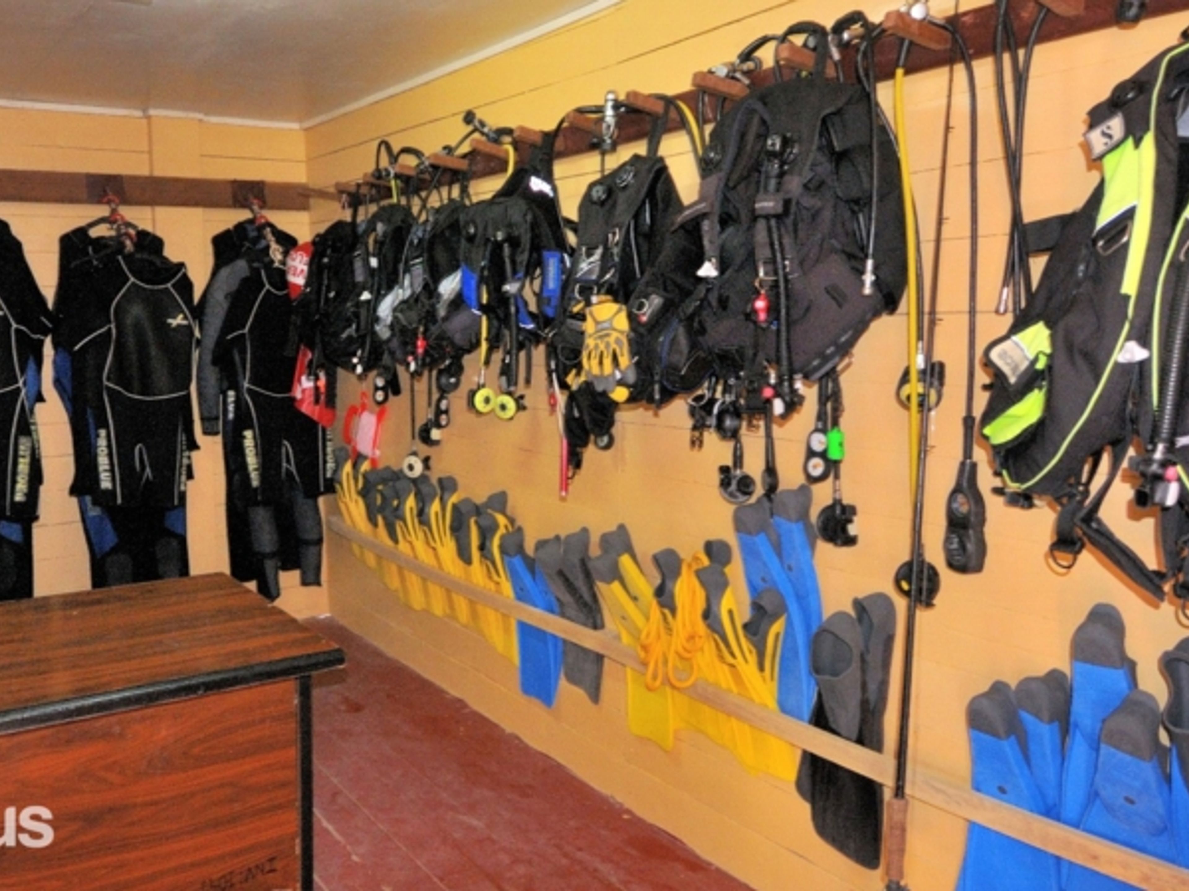 Excursão " Mergulho em Covarrubias". "Diving in in Covarrubias" Tour