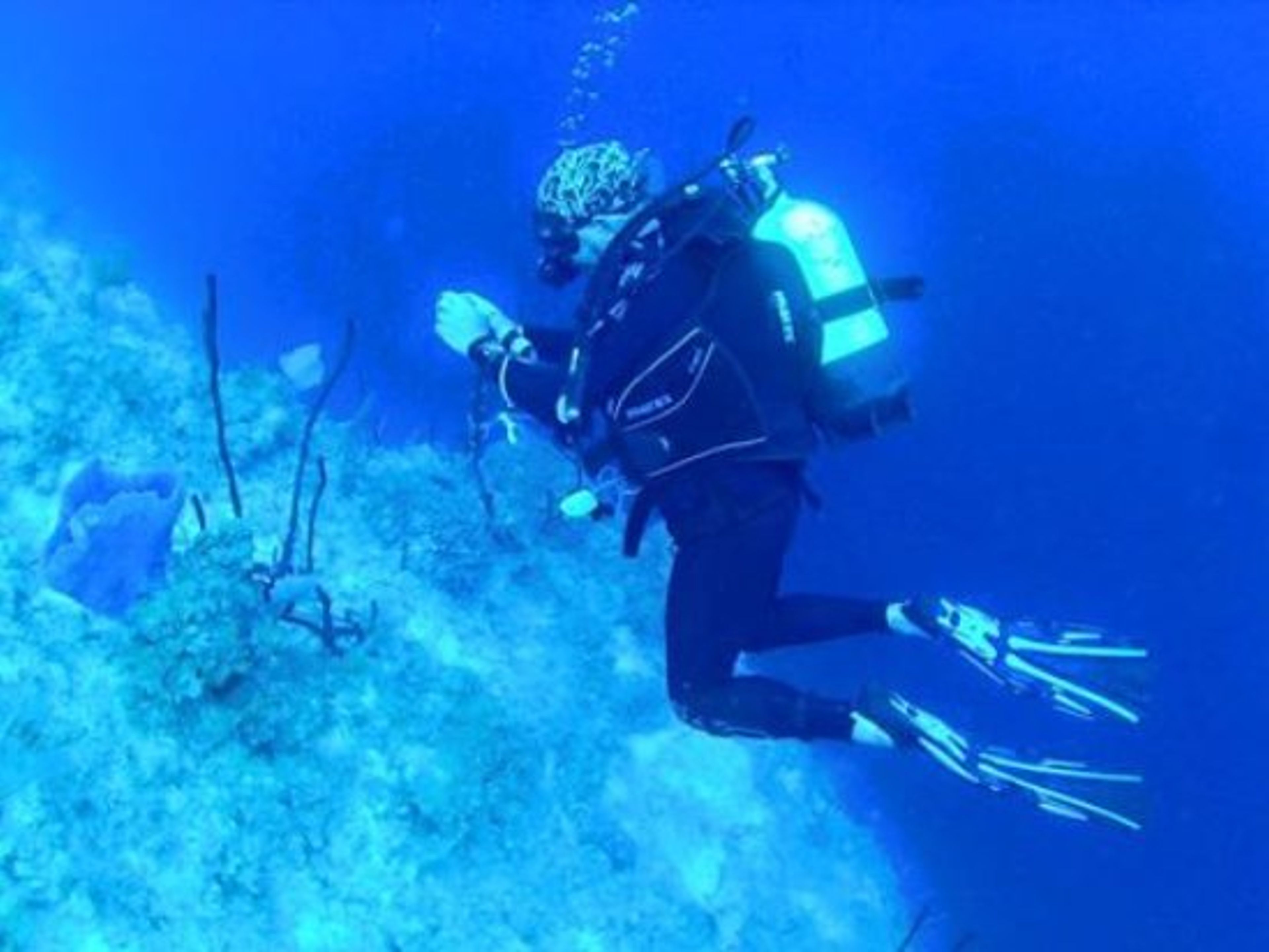 Excursão " Mergulho em Covarrubias". "Diving in in Covarrubias" Tour